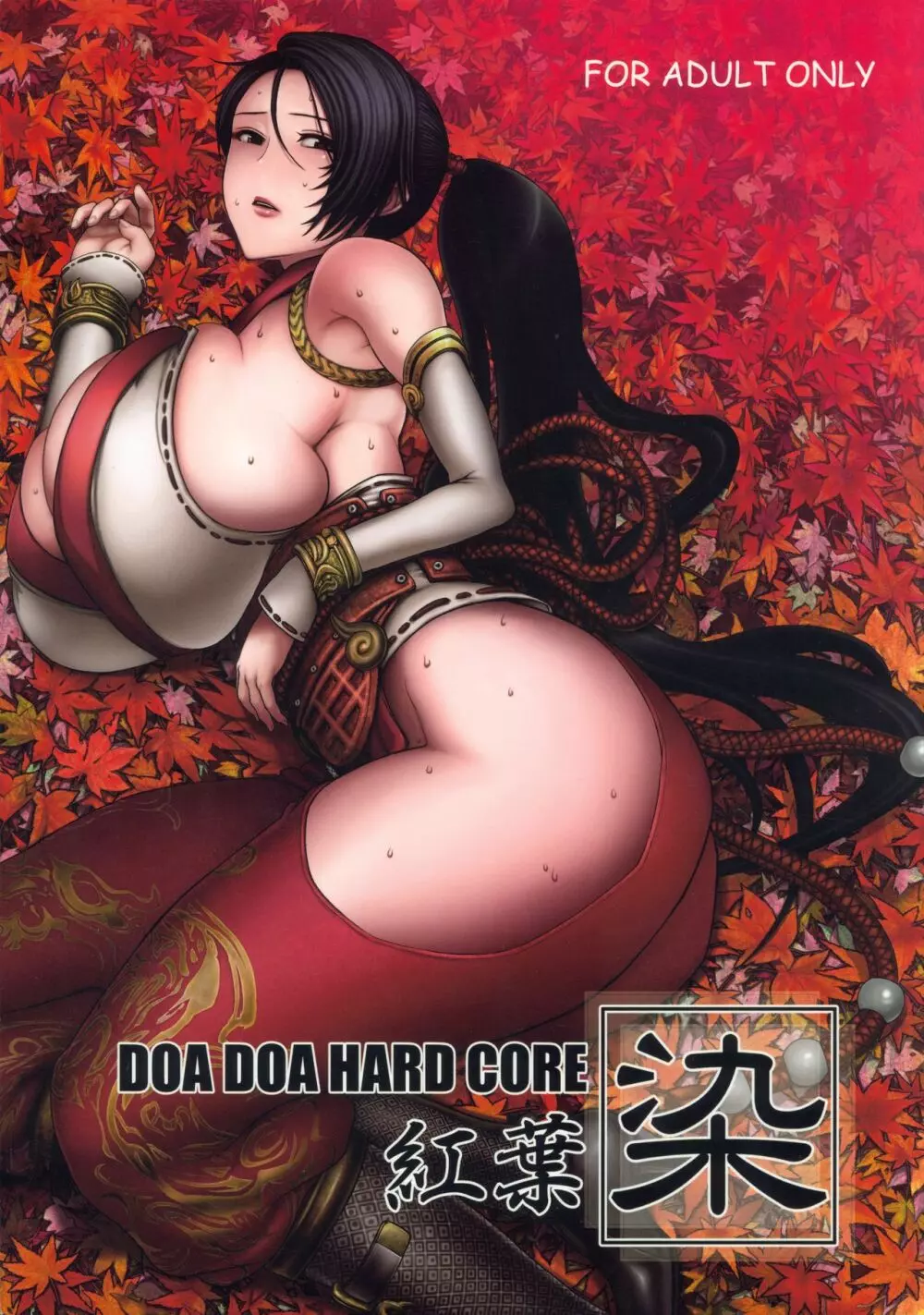 DOA DOA HARD CORE 紅葉染 - page1