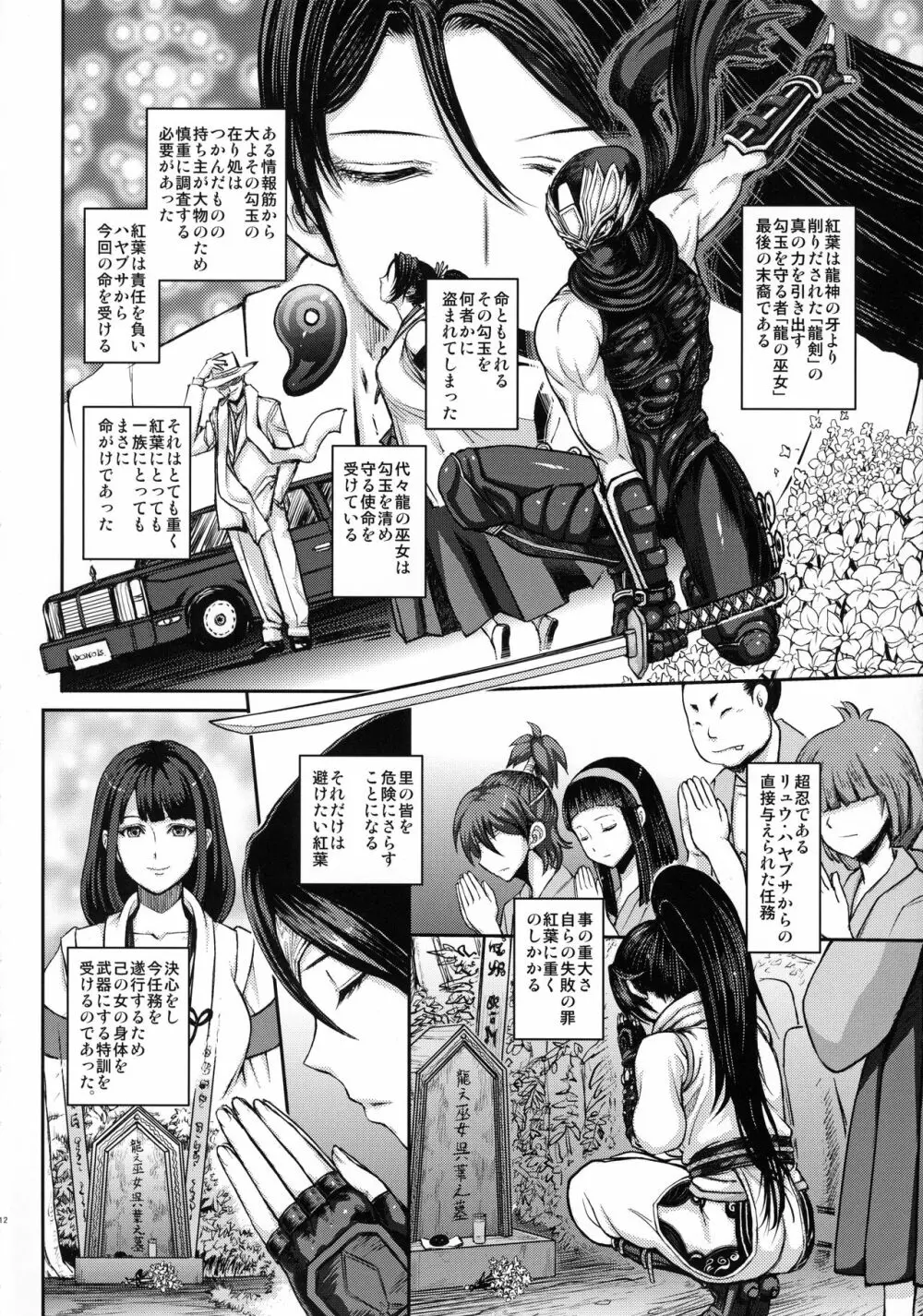 DOA DOA HARD CORE 紅葉染 - page12