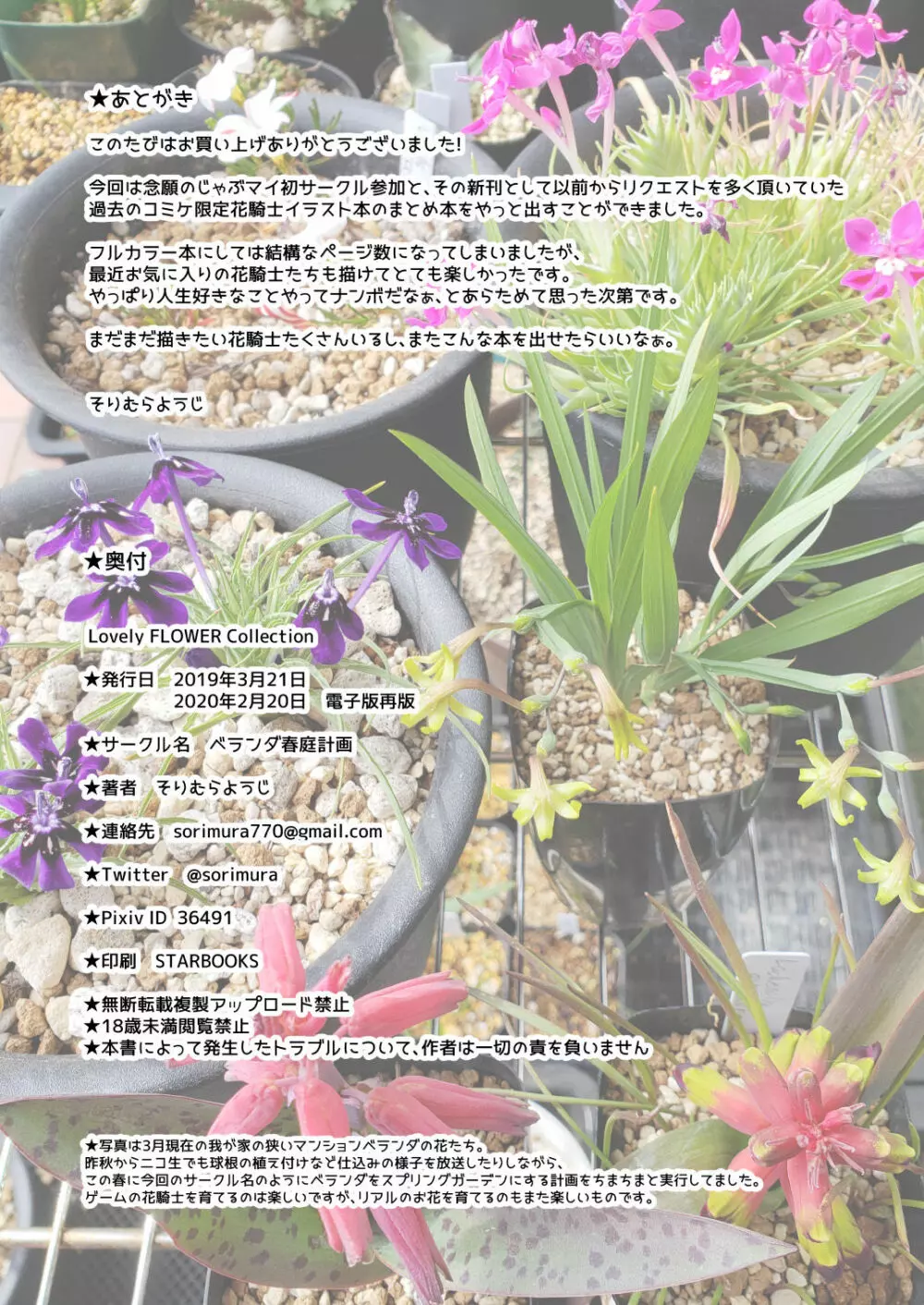 Lovely Flower Collection - page33