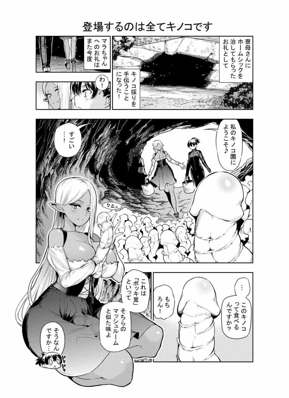 フタナリのエルフ - page31