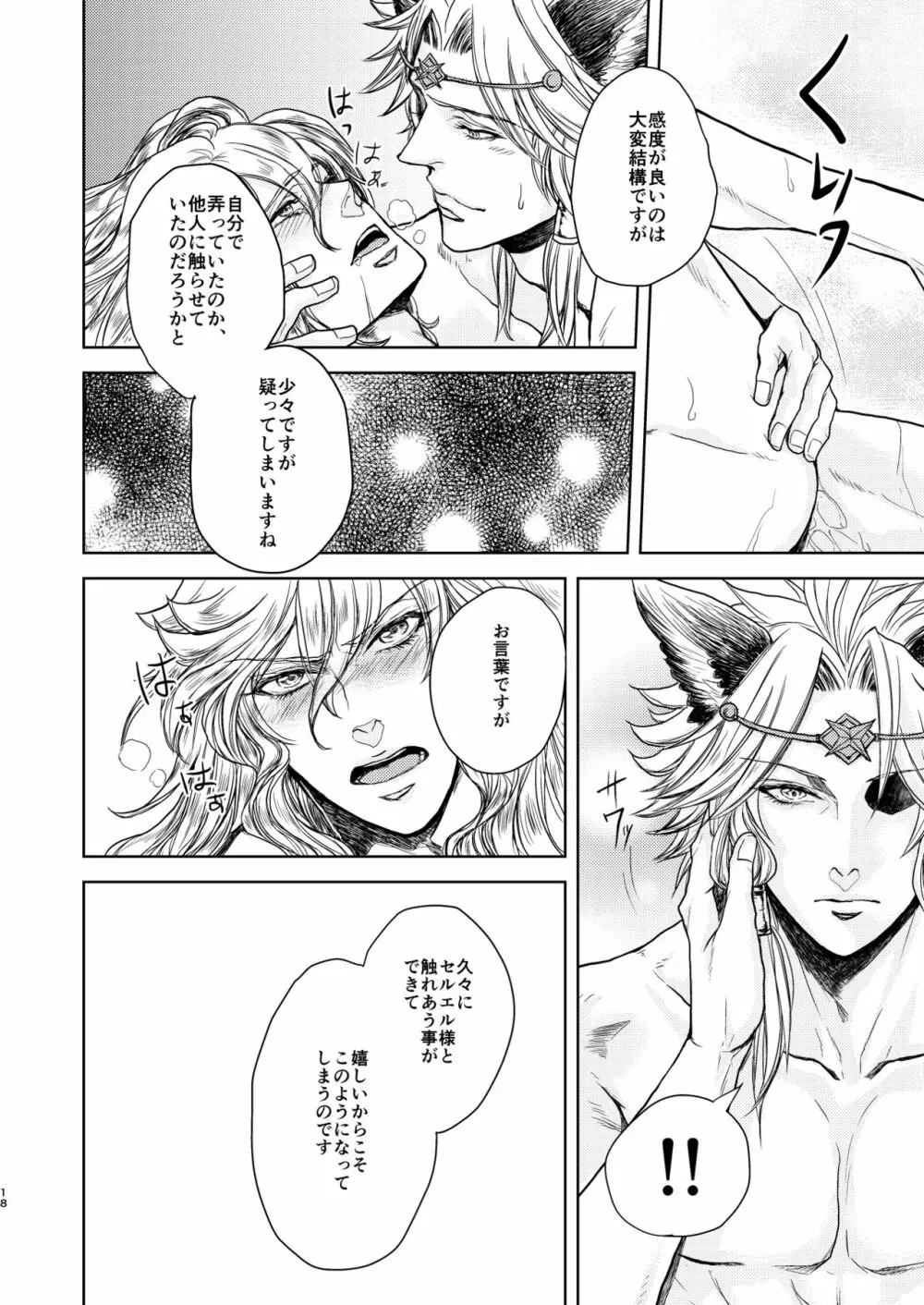 琥珀に映る藍玉 セルエル×ノイシュ再録 - page18