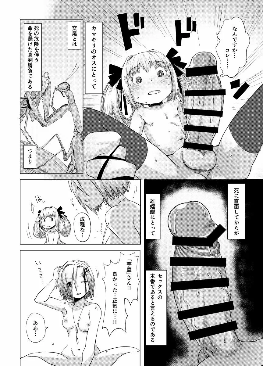 華蟷螂の♂ - page11