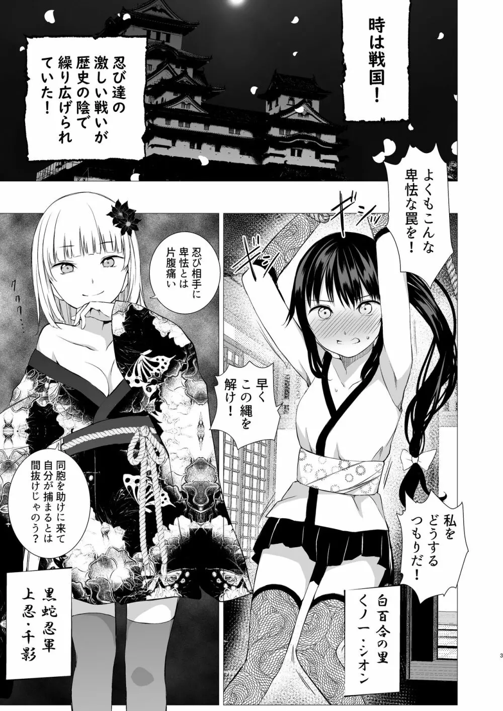 お忍び少女の遊び方 - page2