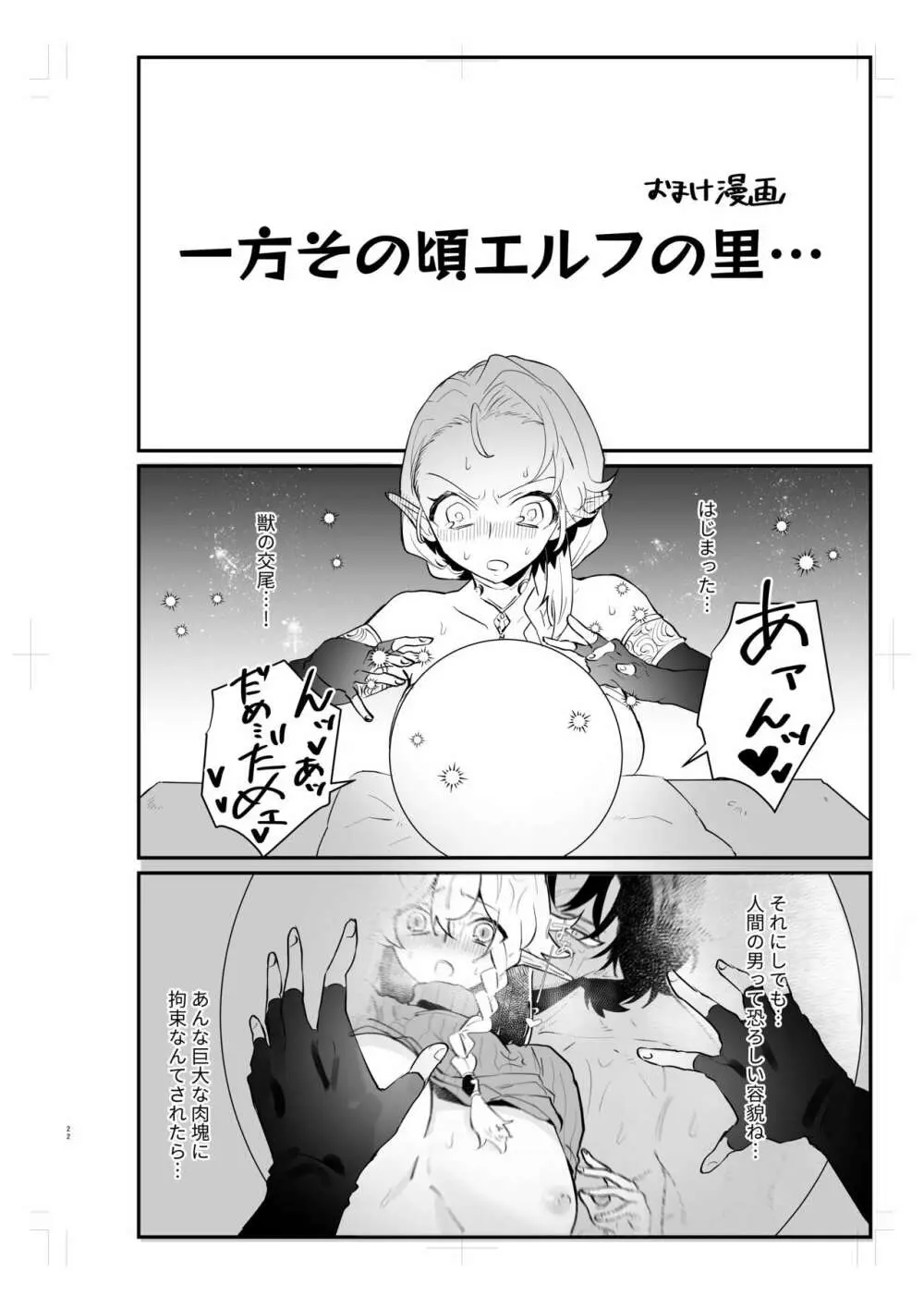 爪弾き者のソムニア2 - page21