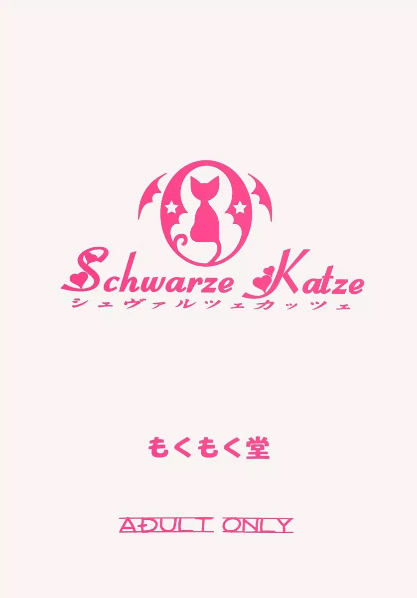 Schwarze Katze シュヴァルツェカッツェ - page30