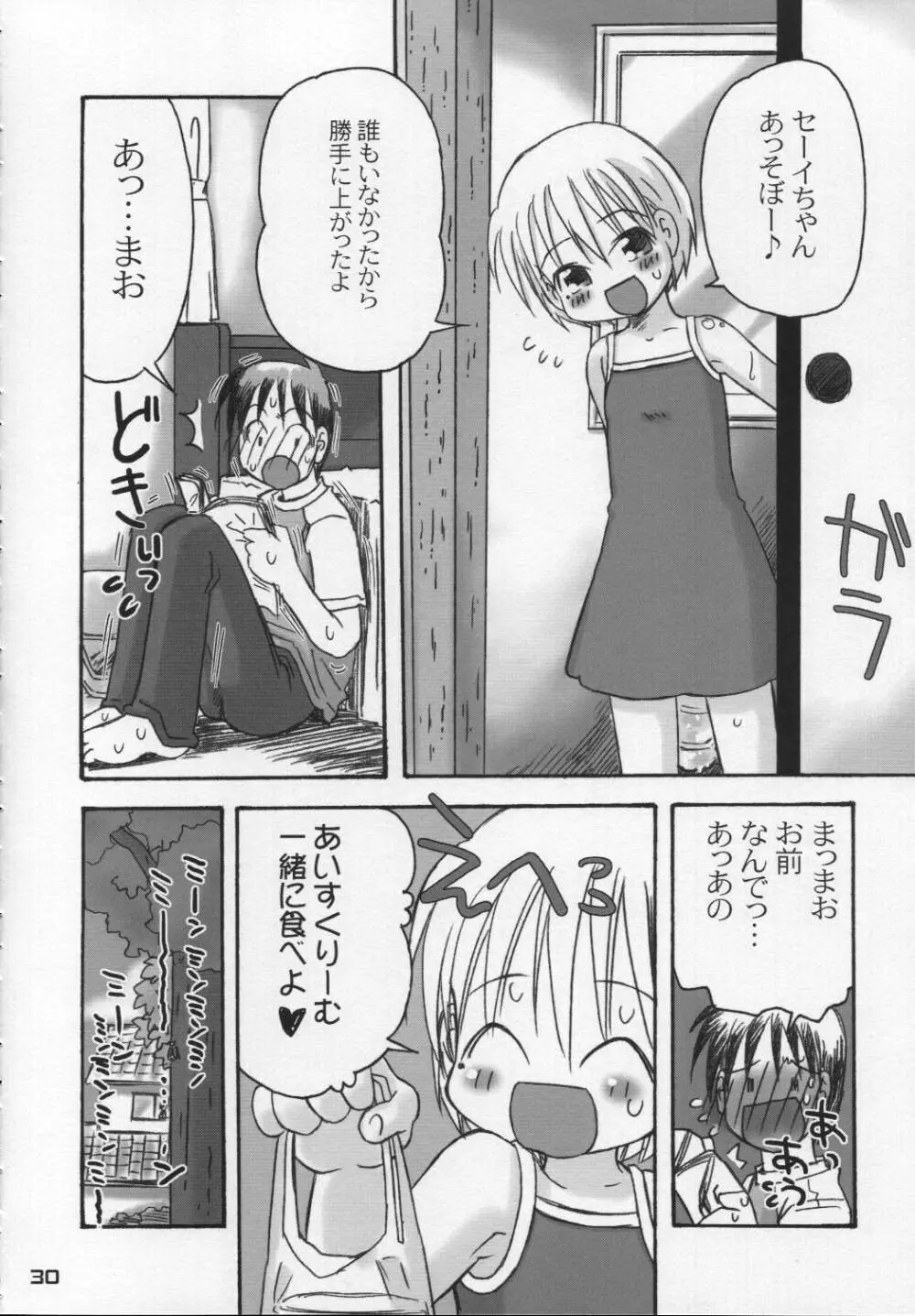 なつのかんさつにっき - page29