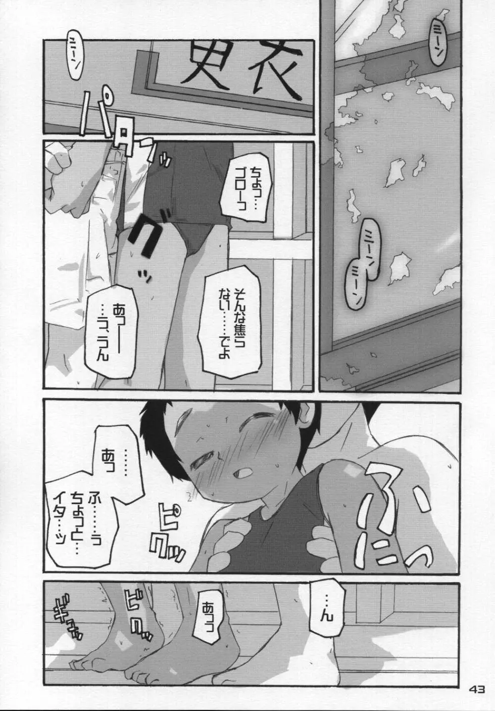 なつのかんさつにっき - page42