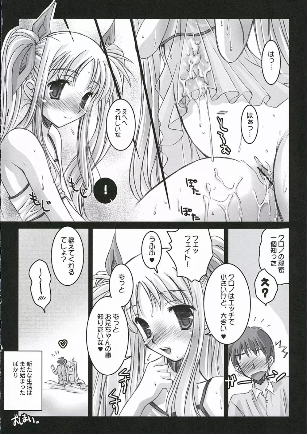 魔法少女リリカルなのはPs - page13