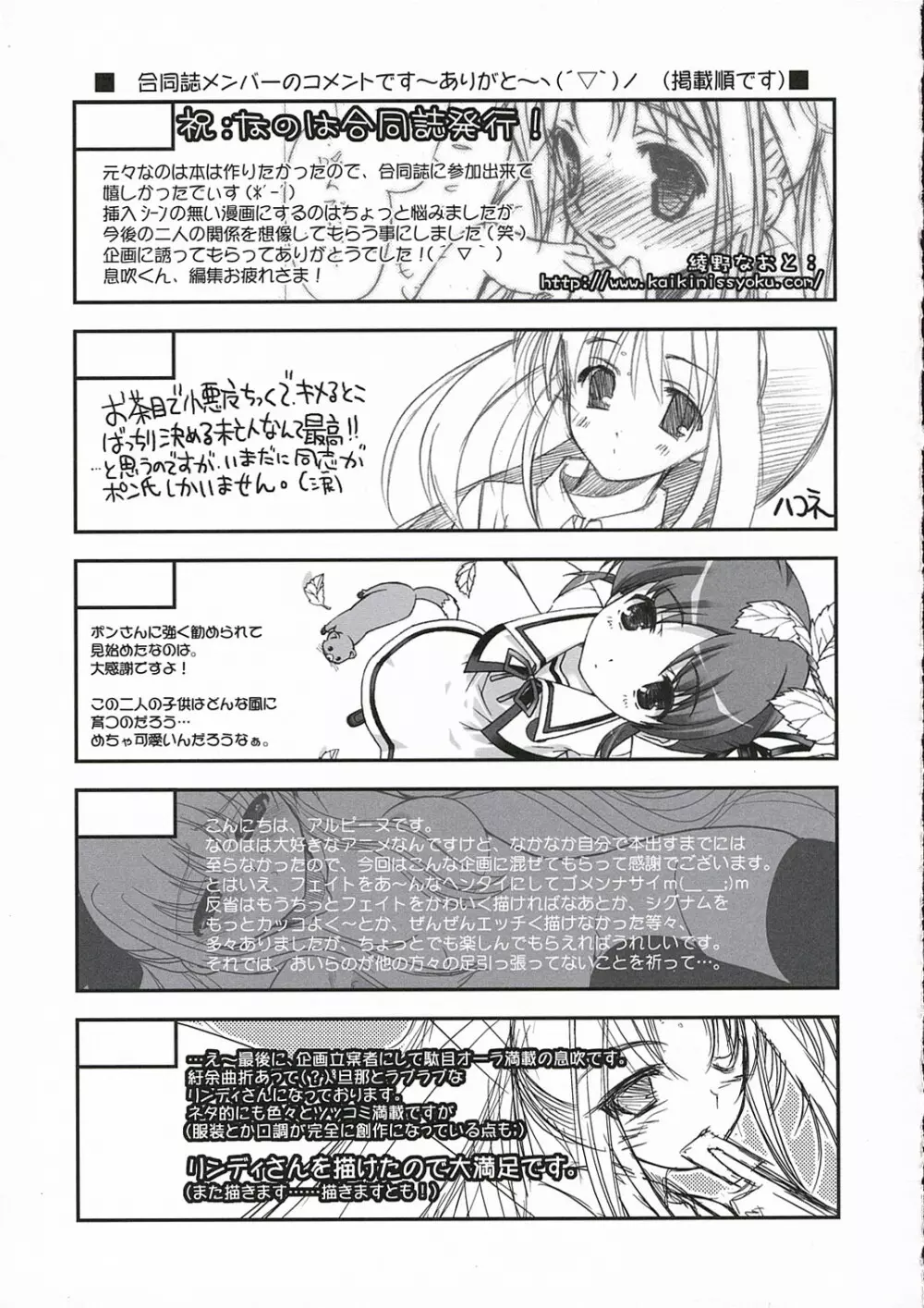 魔法少女リリカルなのはPs - page48