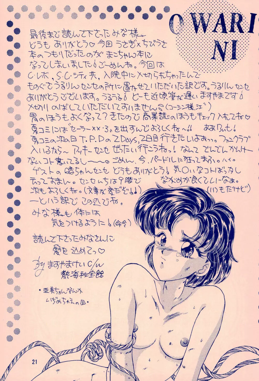 コードネームはセーラーXX R - page21