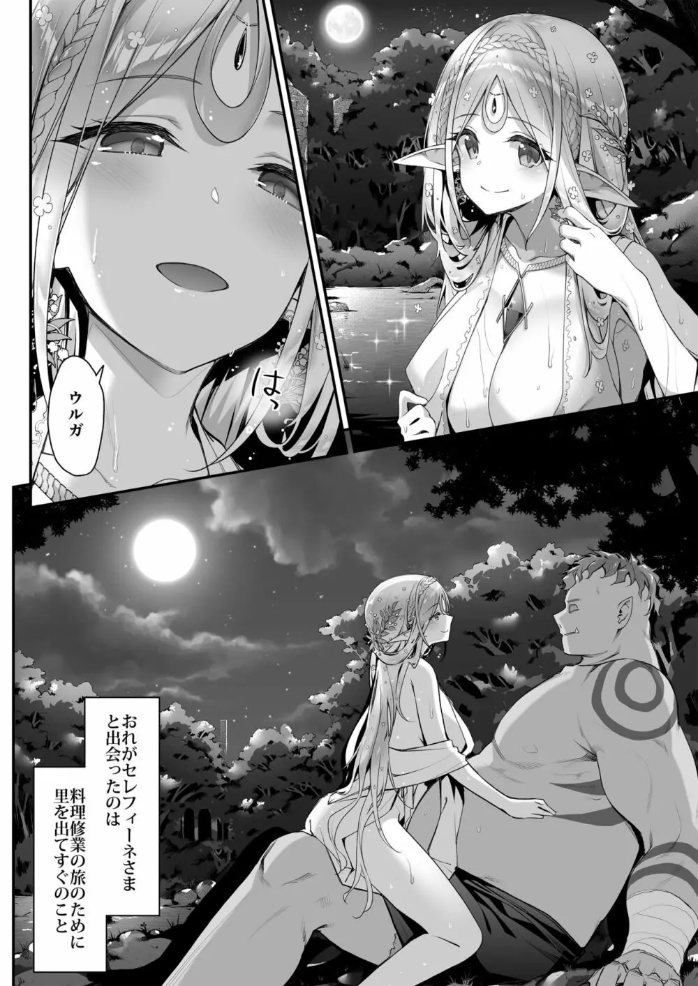 淫らなエルフさんはオークくんがお好き - page3