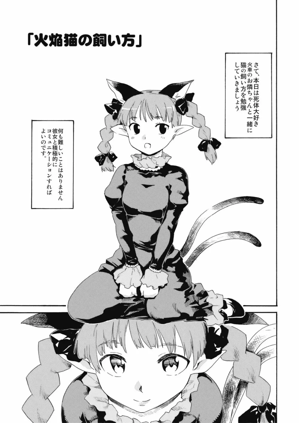 東方浮世絵巻 火焔猫の飼い方・地獄鴉の育て方 - page3