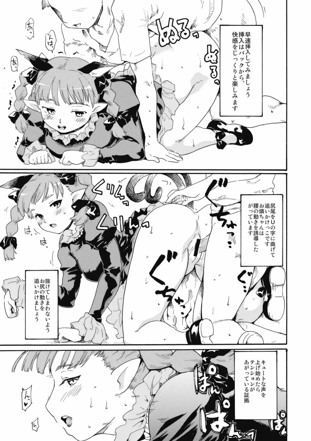 東方浮世絵巻 火焔猫の飼い方・地獄鴉の育て方 - page5