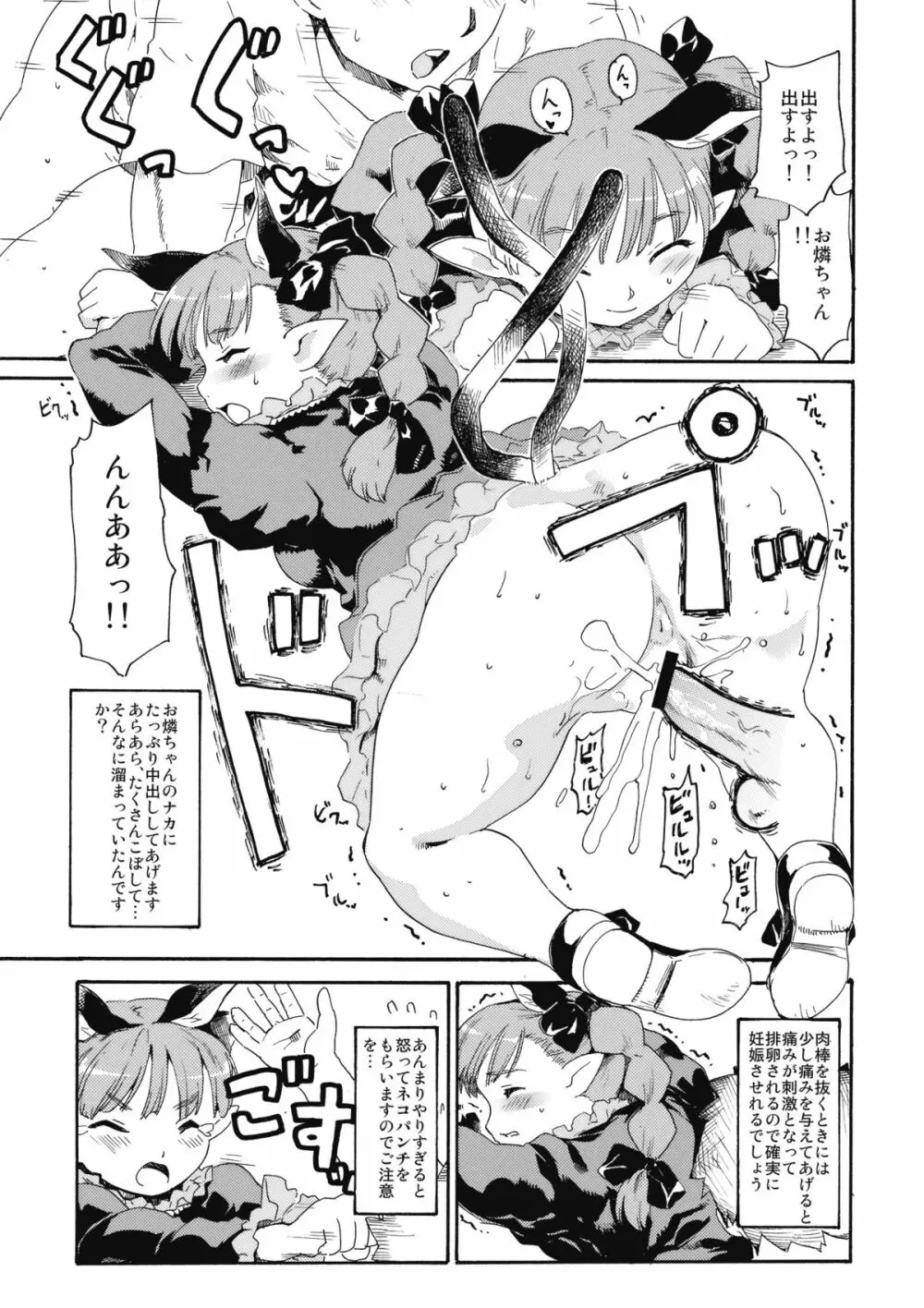 東方浮世絵巻 火焔猫の飼い方・地獄鴉の育て方 - page7