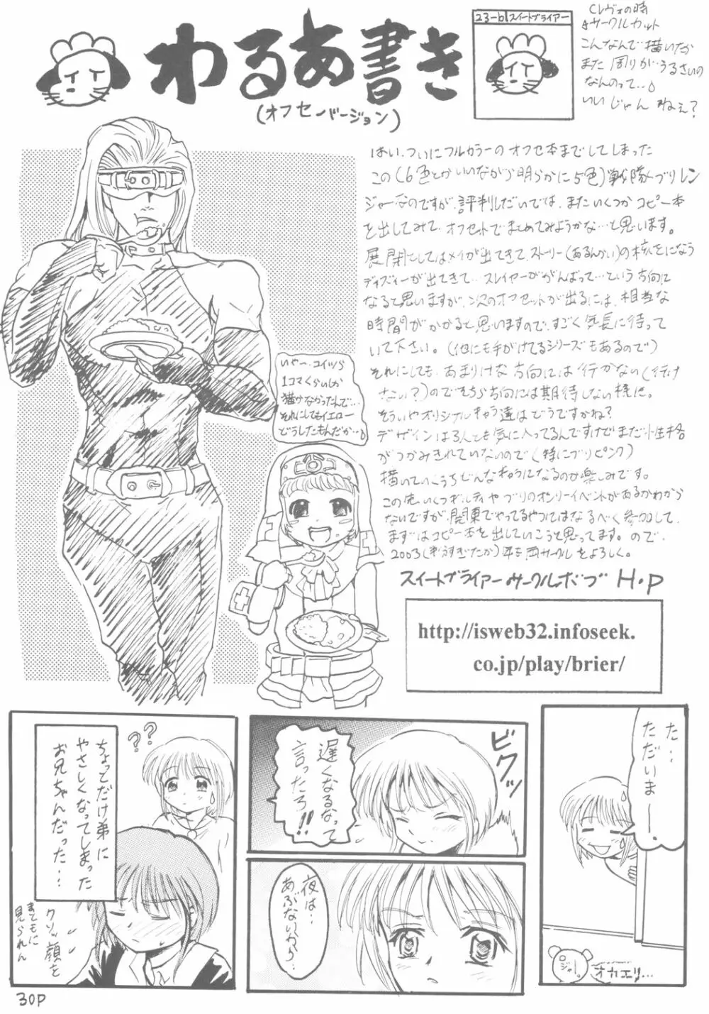 六色戦隊 ブリレンジャー - page31