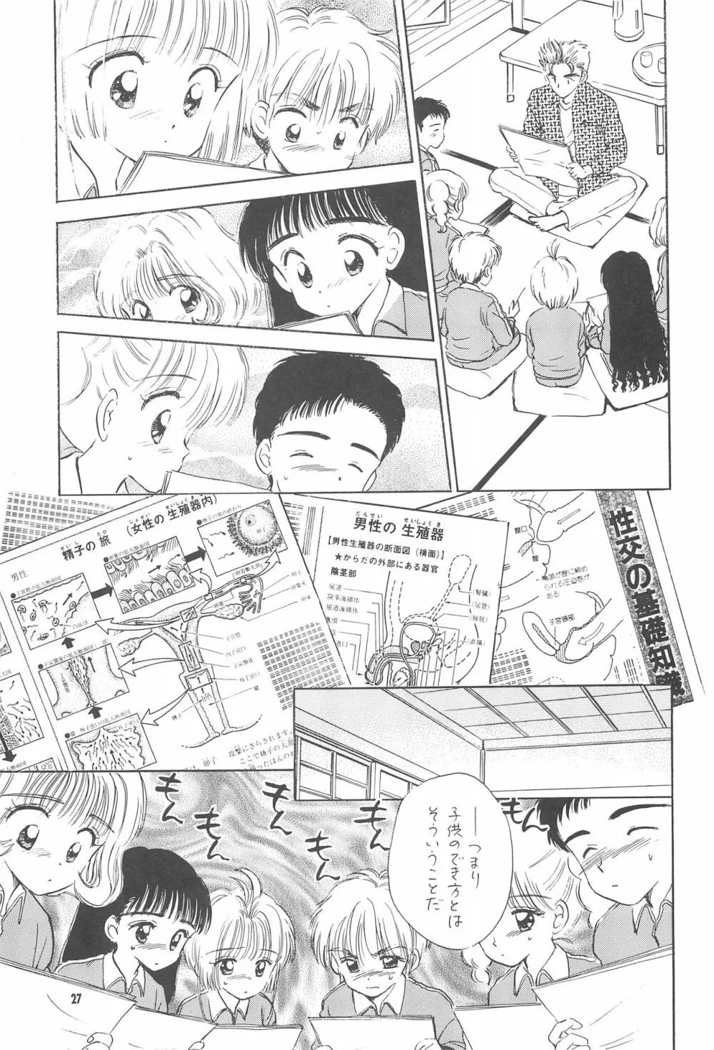 教育の現場から -現代性教育のあり方について- - page29