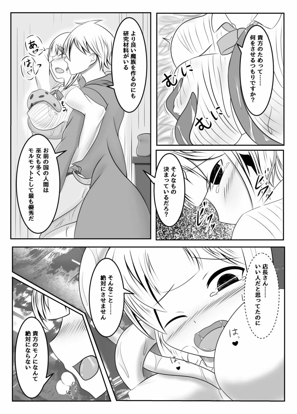 封印の巫女～そして王女は国を滅ぼす～ - page11