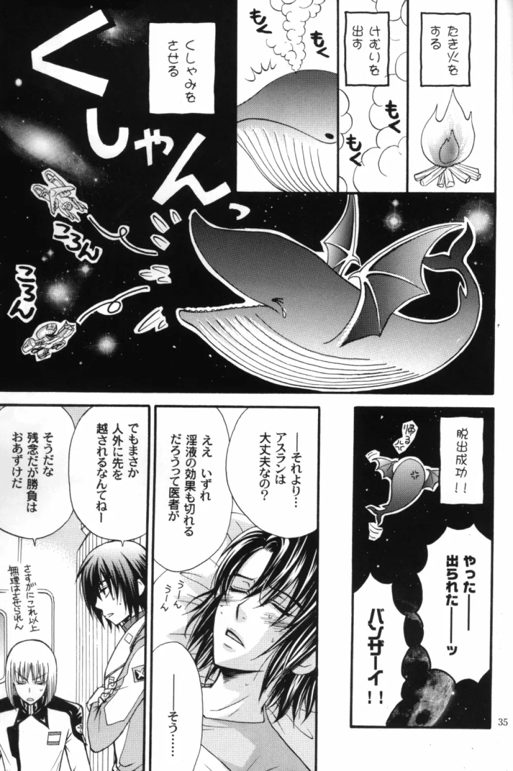 縛アスラン。～宇宙からの侵略者!?アスラン触手地獄!!～ - page34