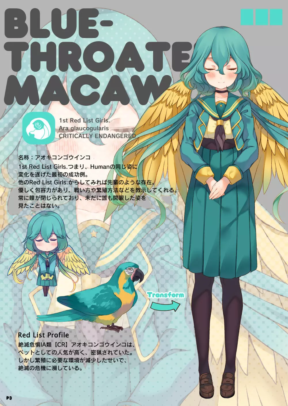 MACAW;EDUCATION - page3