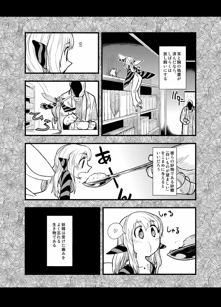 フェルナンデス ピクシー ショップ - page12