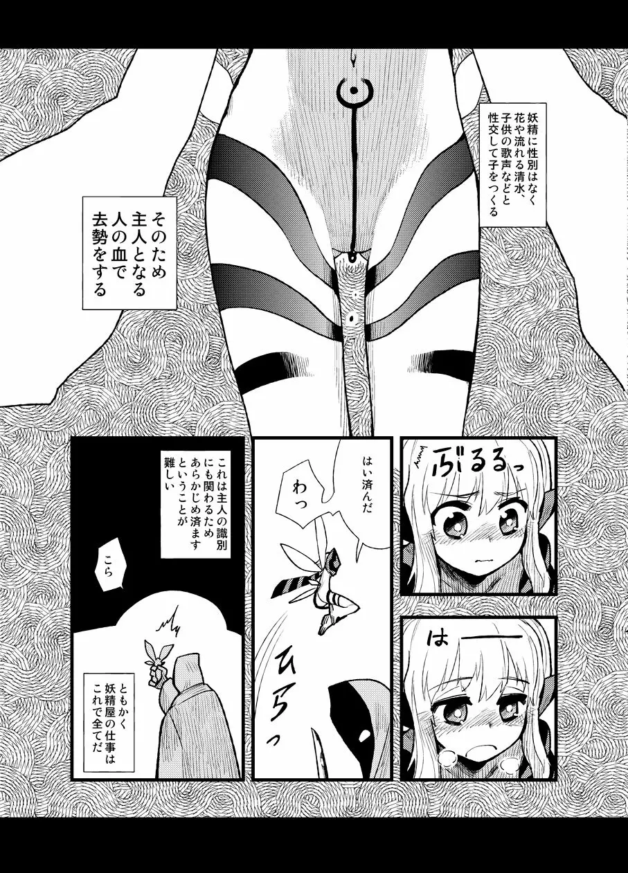 フェルナンデス ピクシー ショップ - page16