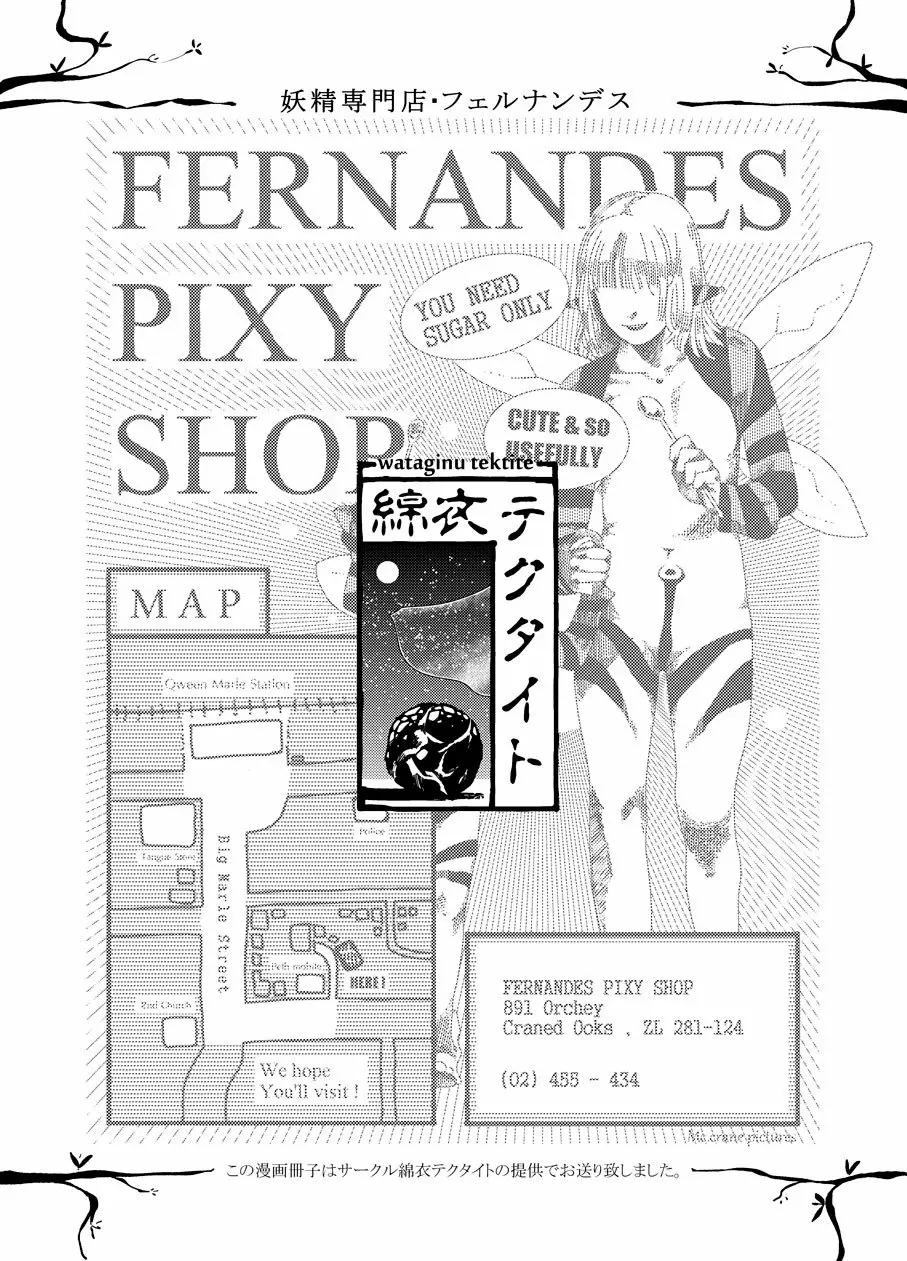 フェルナンデス ピクシー ショップ - page21