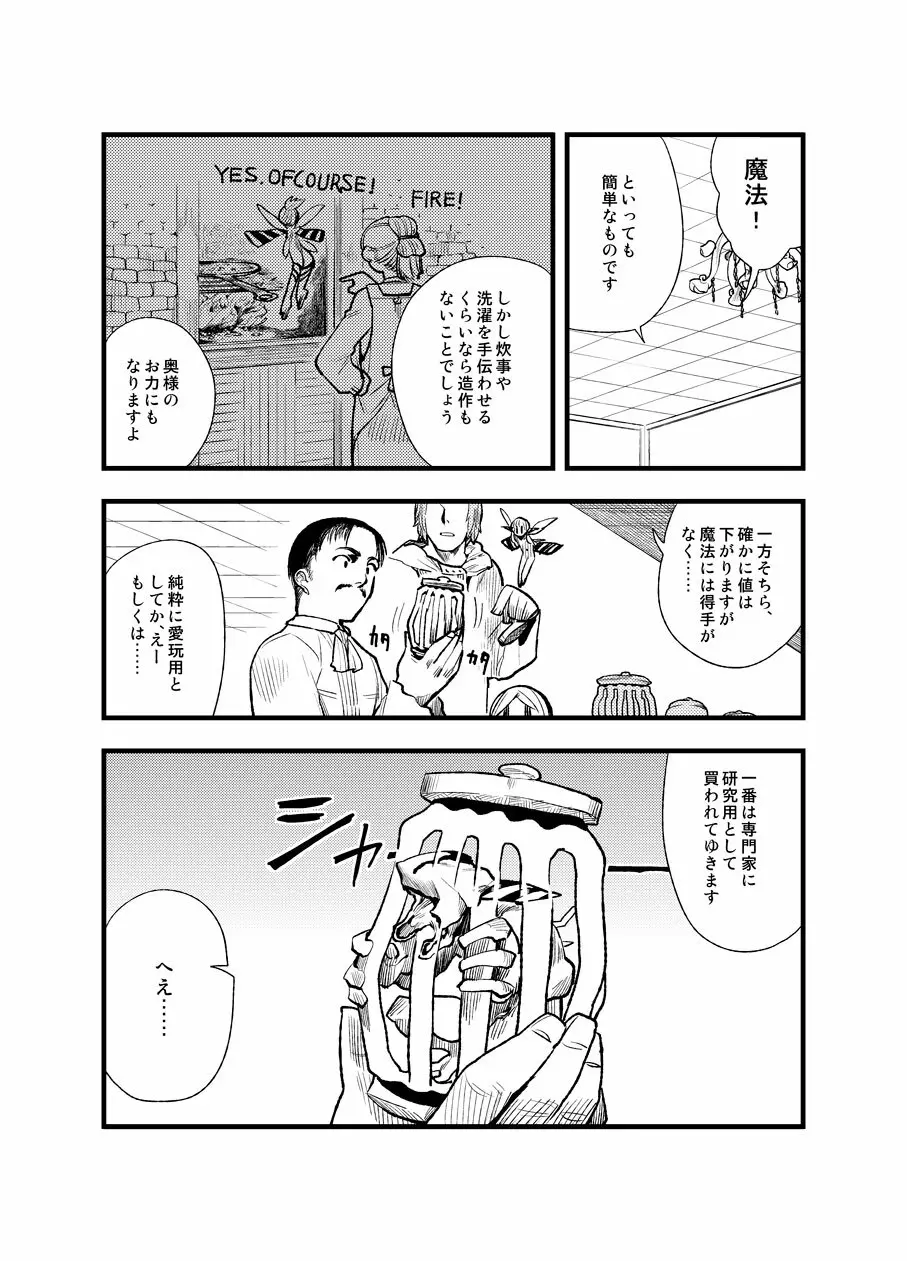 フェルナンデス ピクシー ショップ - page6