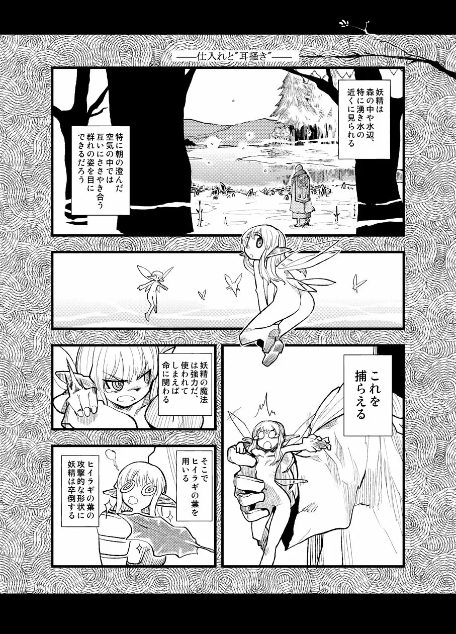 フェルナンデス ピクシー ショップ - page7