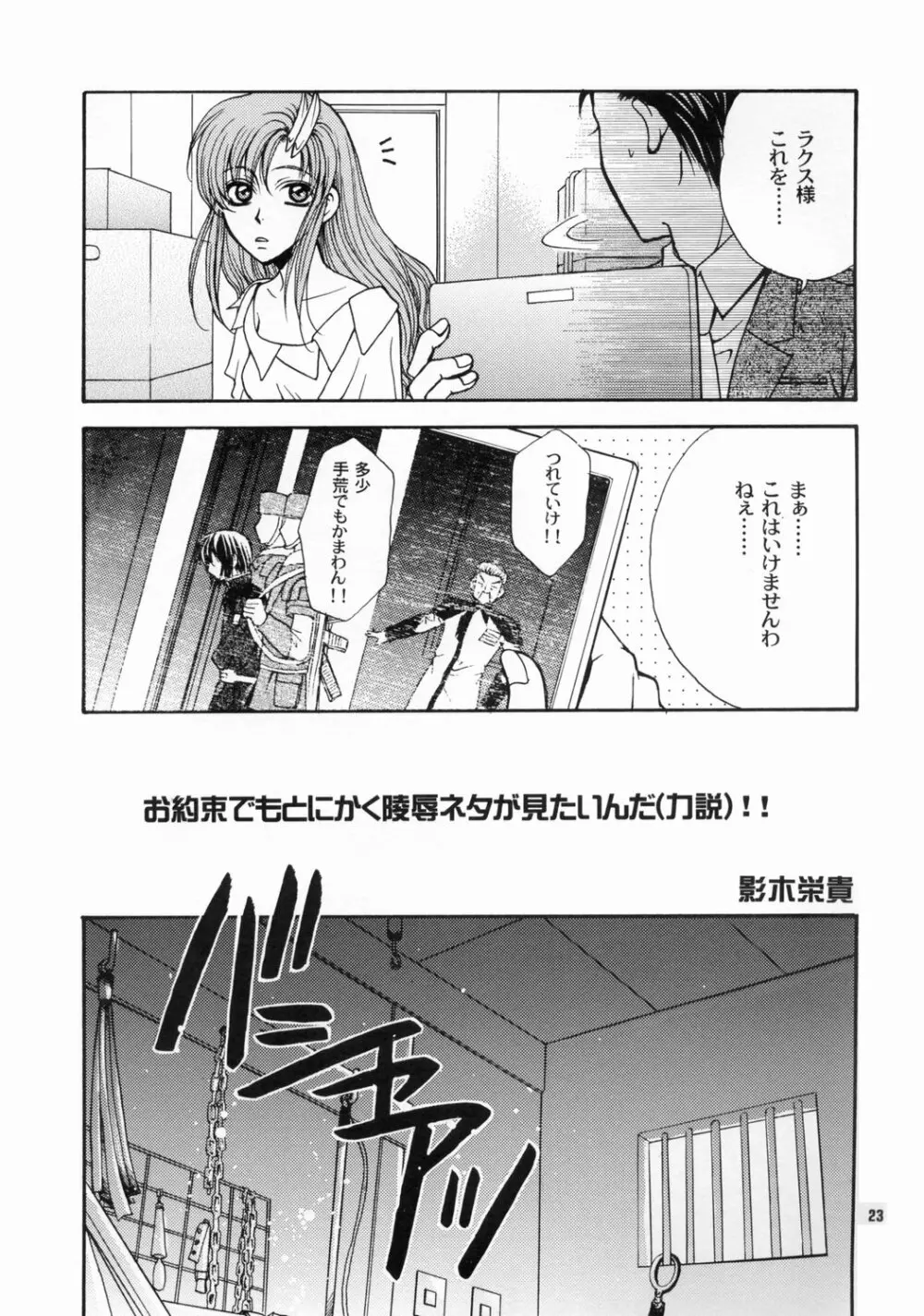 大地に種をまきましょう - page22