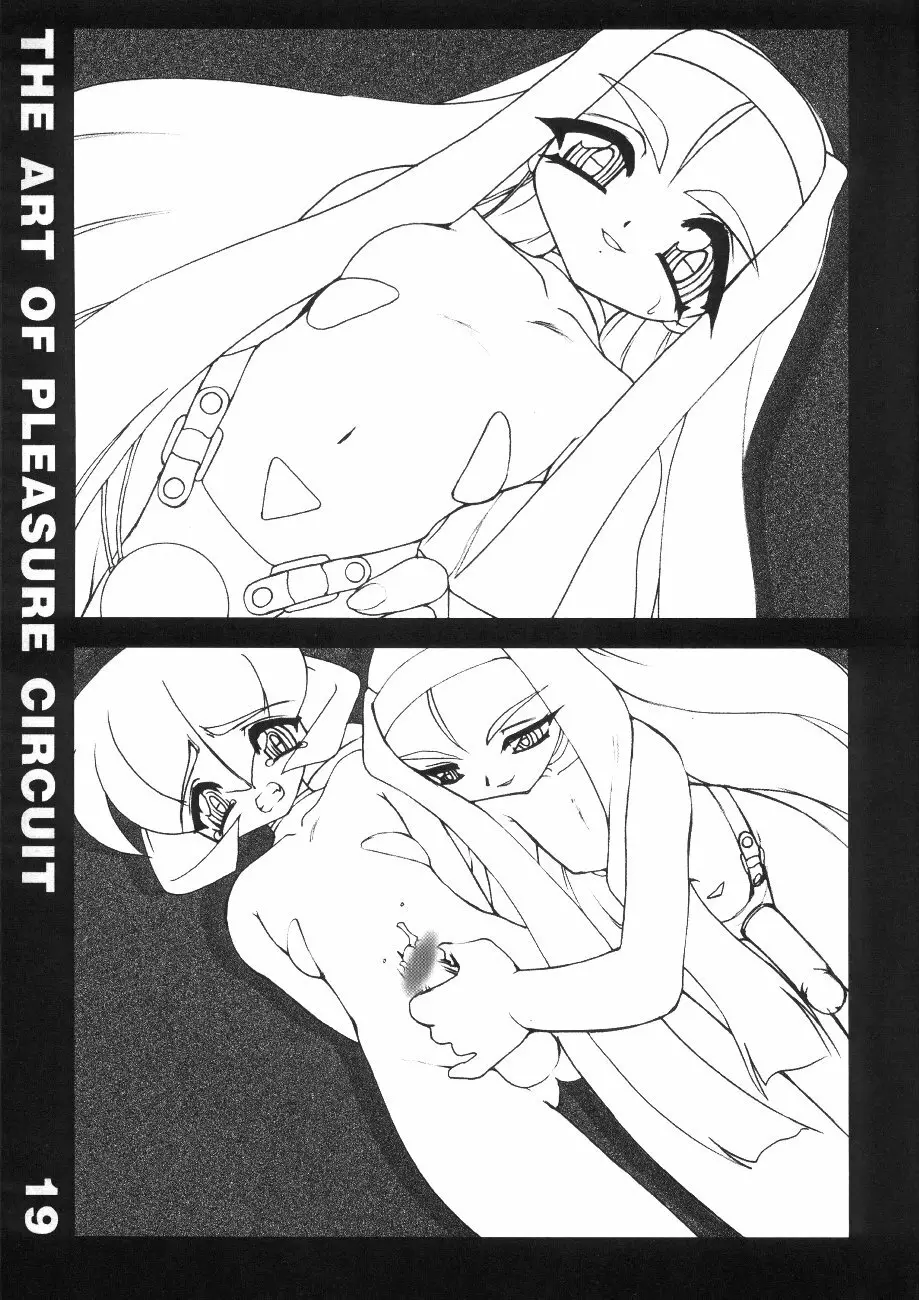 The Art of Pleasure Circuit - page20