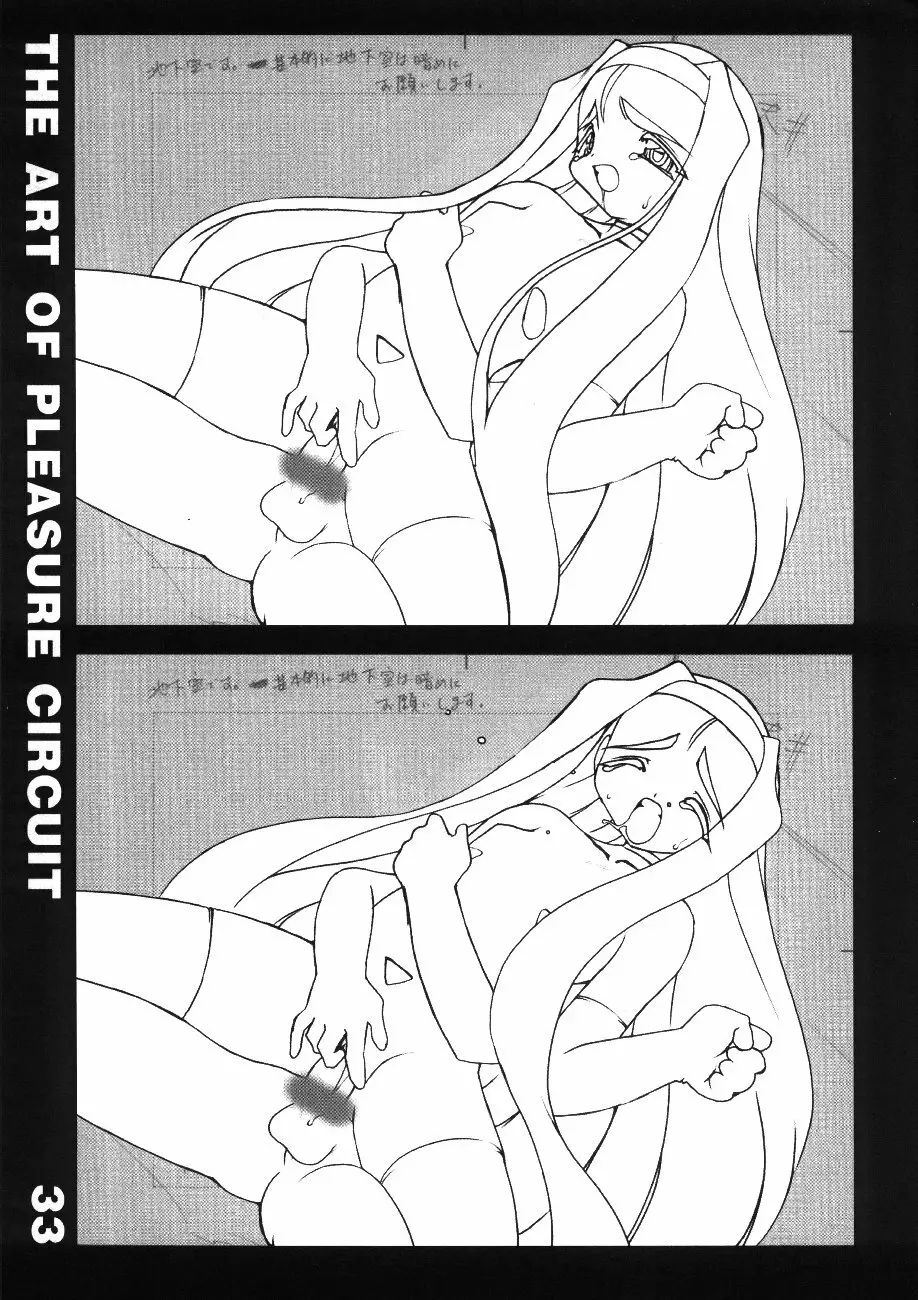 The Art of Pleasure Circuit - page34