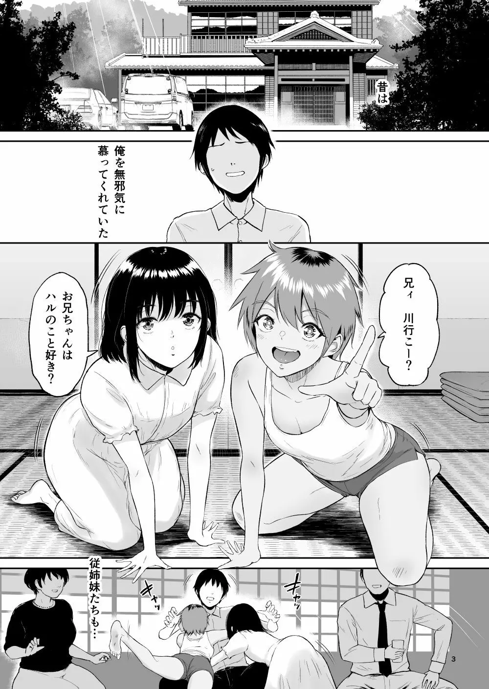 いとことー田舎で再会したむちむち娘二人との種付け交尾記録 - page2