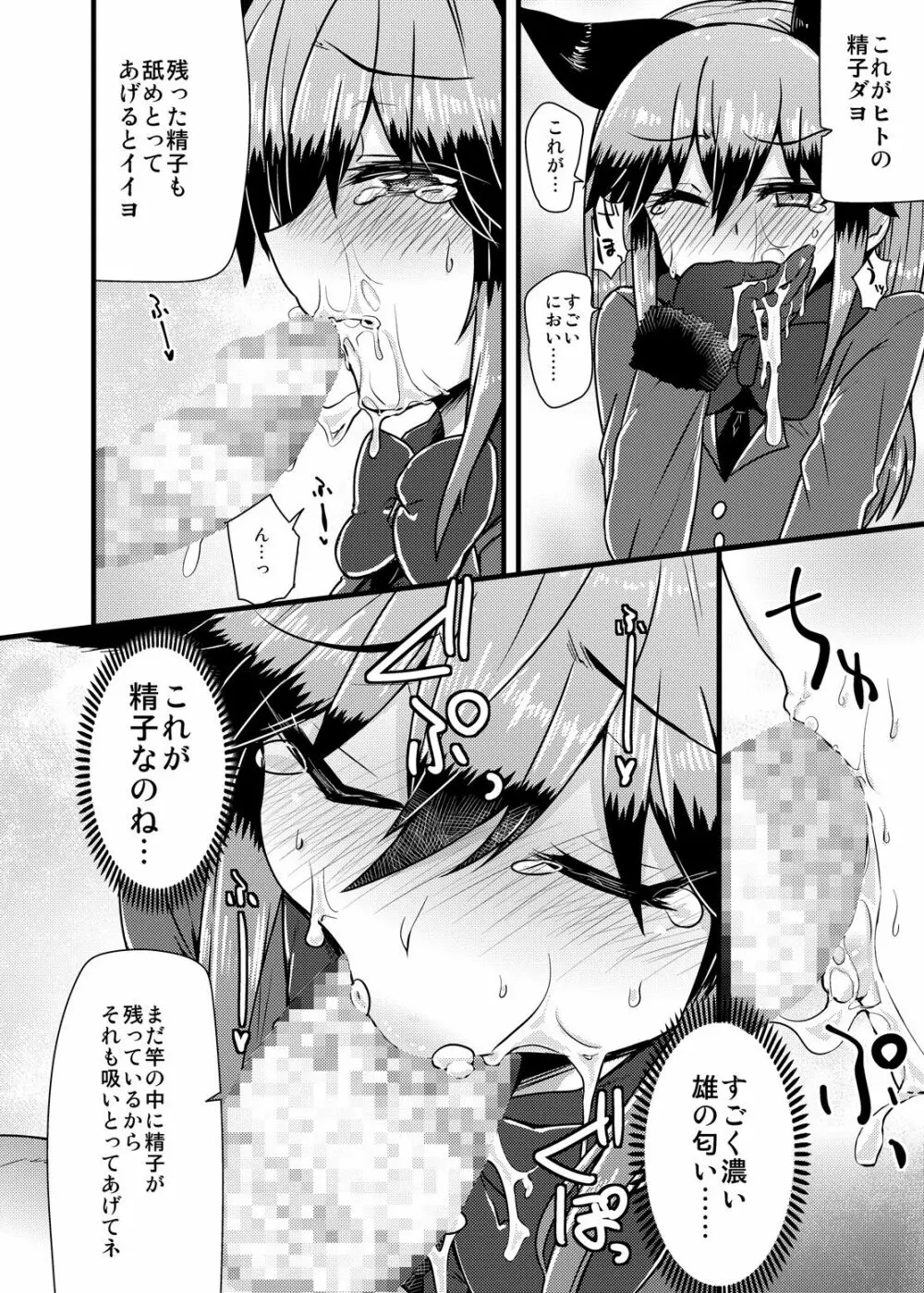 ギンギツネちゃんにヒトの交尾をおしえたいっ - page11