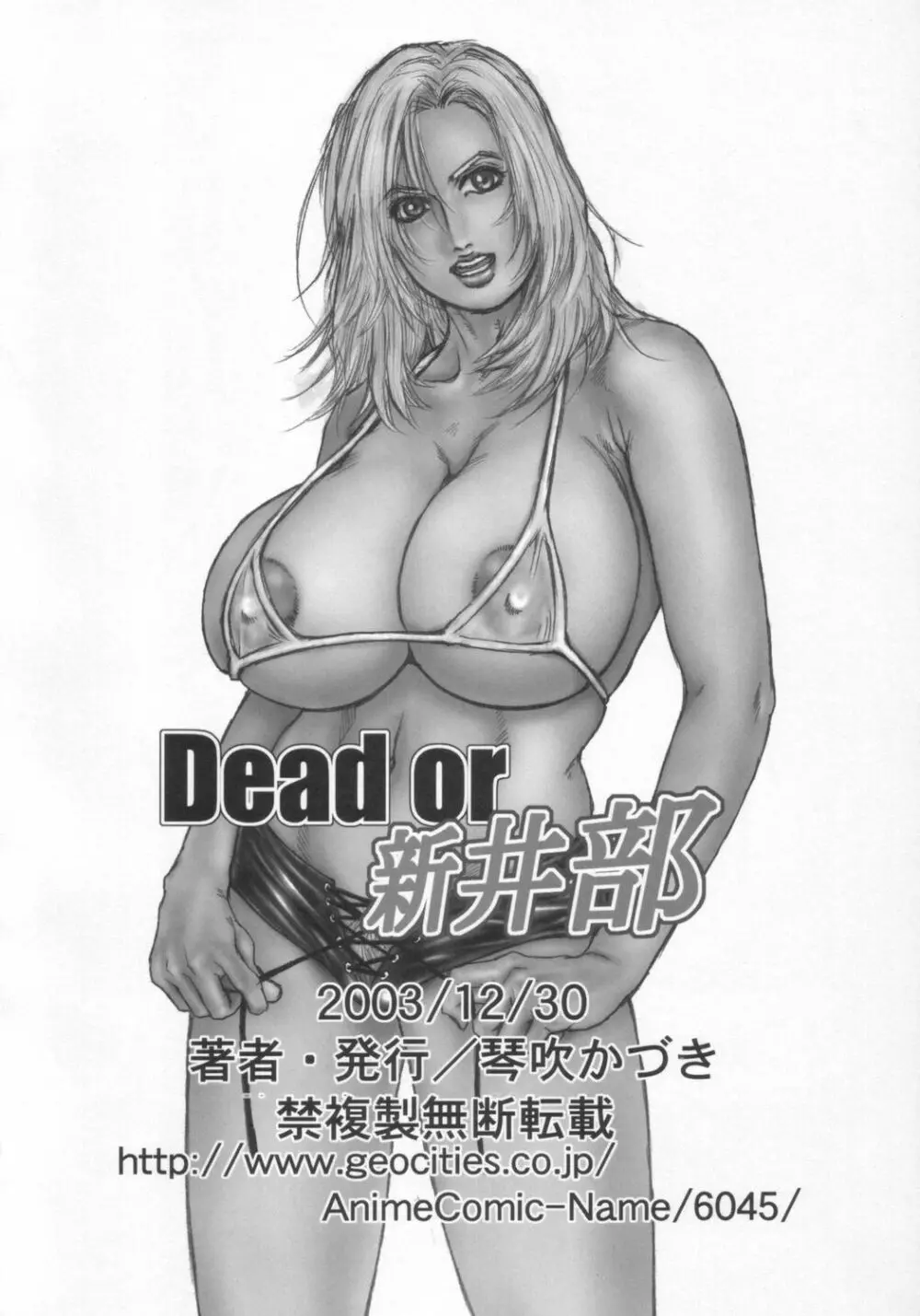 [H&K (琴吹かづき)] Dead or 新井部 (デッド・オア・アライヴ)) - page29