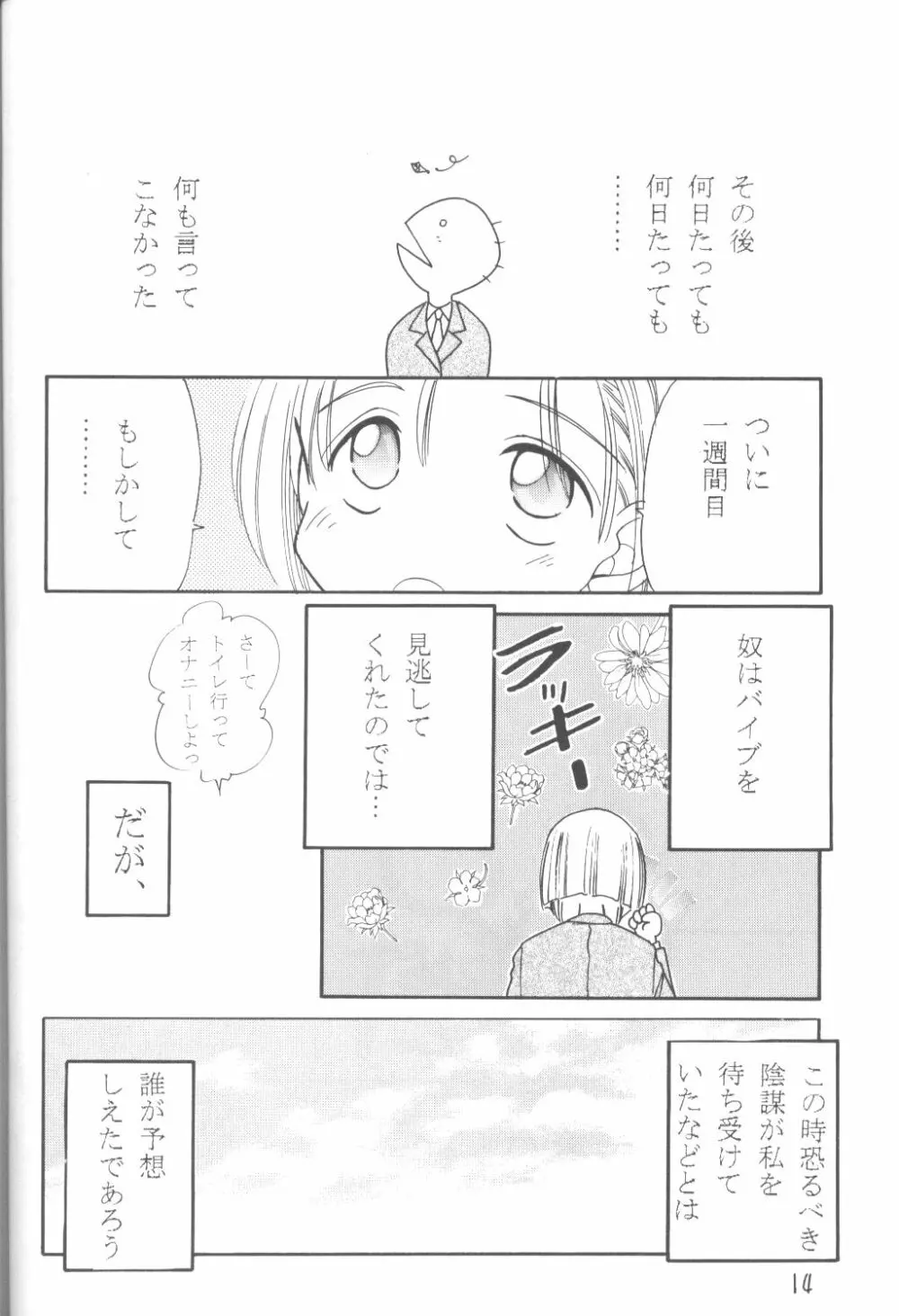 ファンシア育成日記 - page13