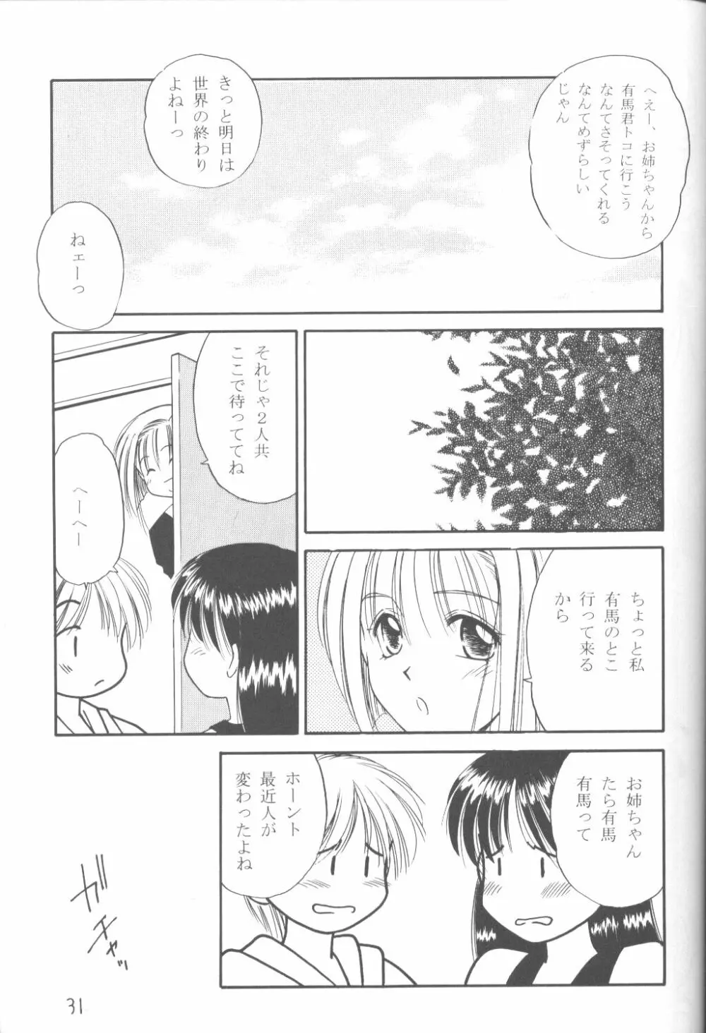 ファンシア育成日記 - page29