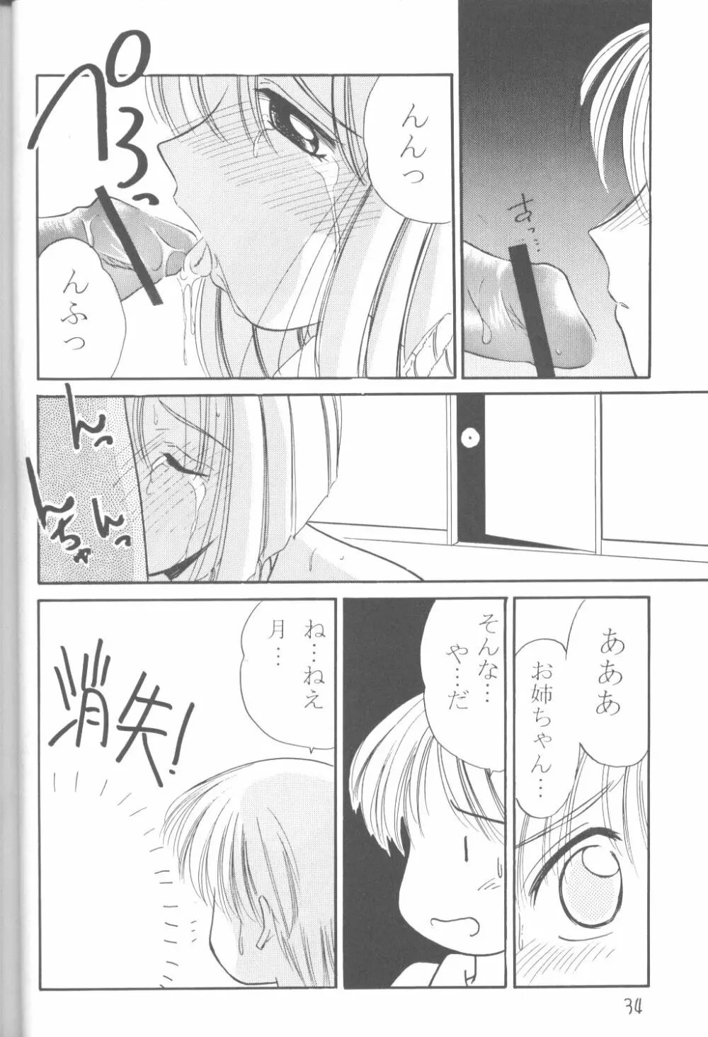 ファンシア育成日記 - page32