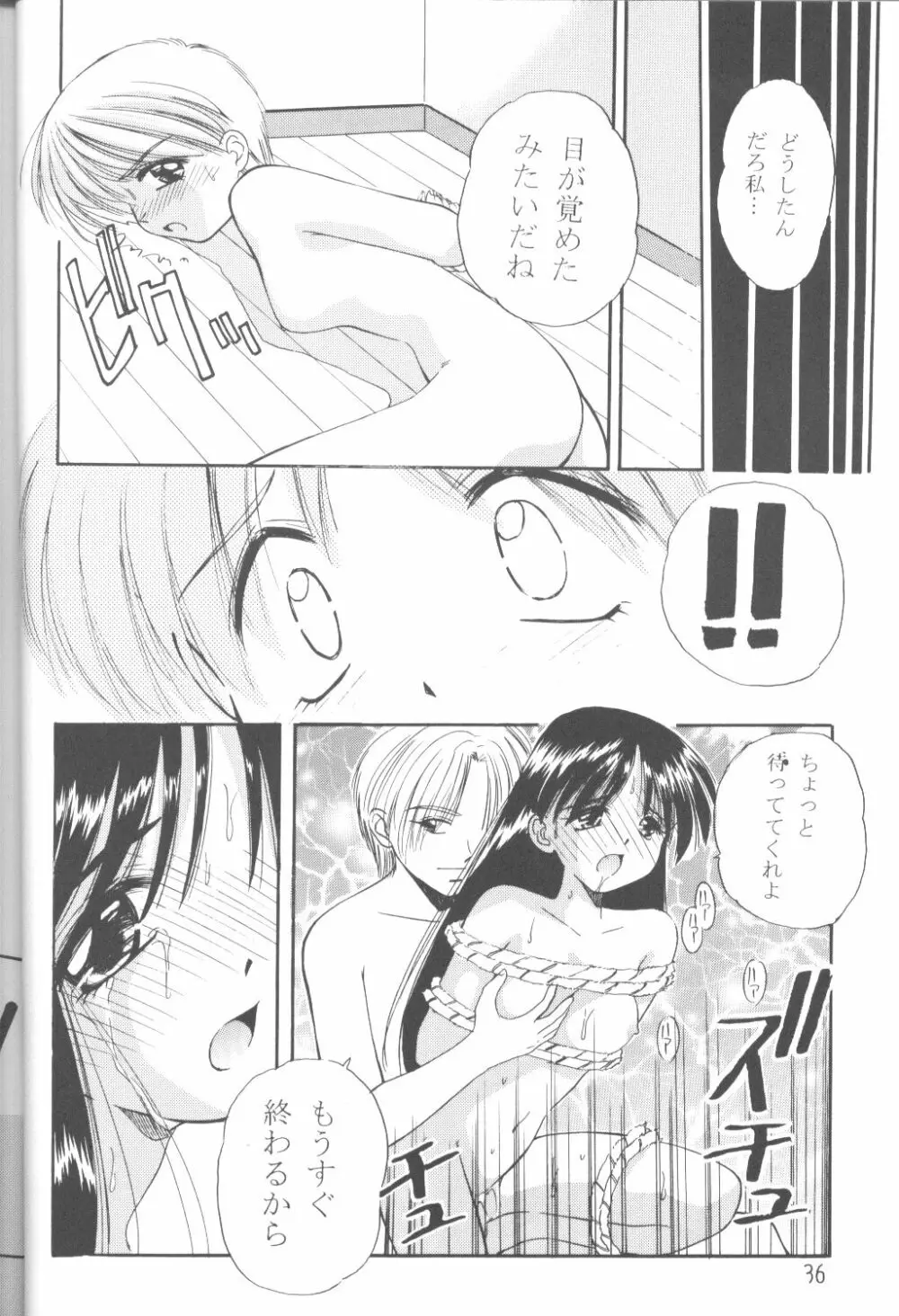 ファンシア育成日記 - page34