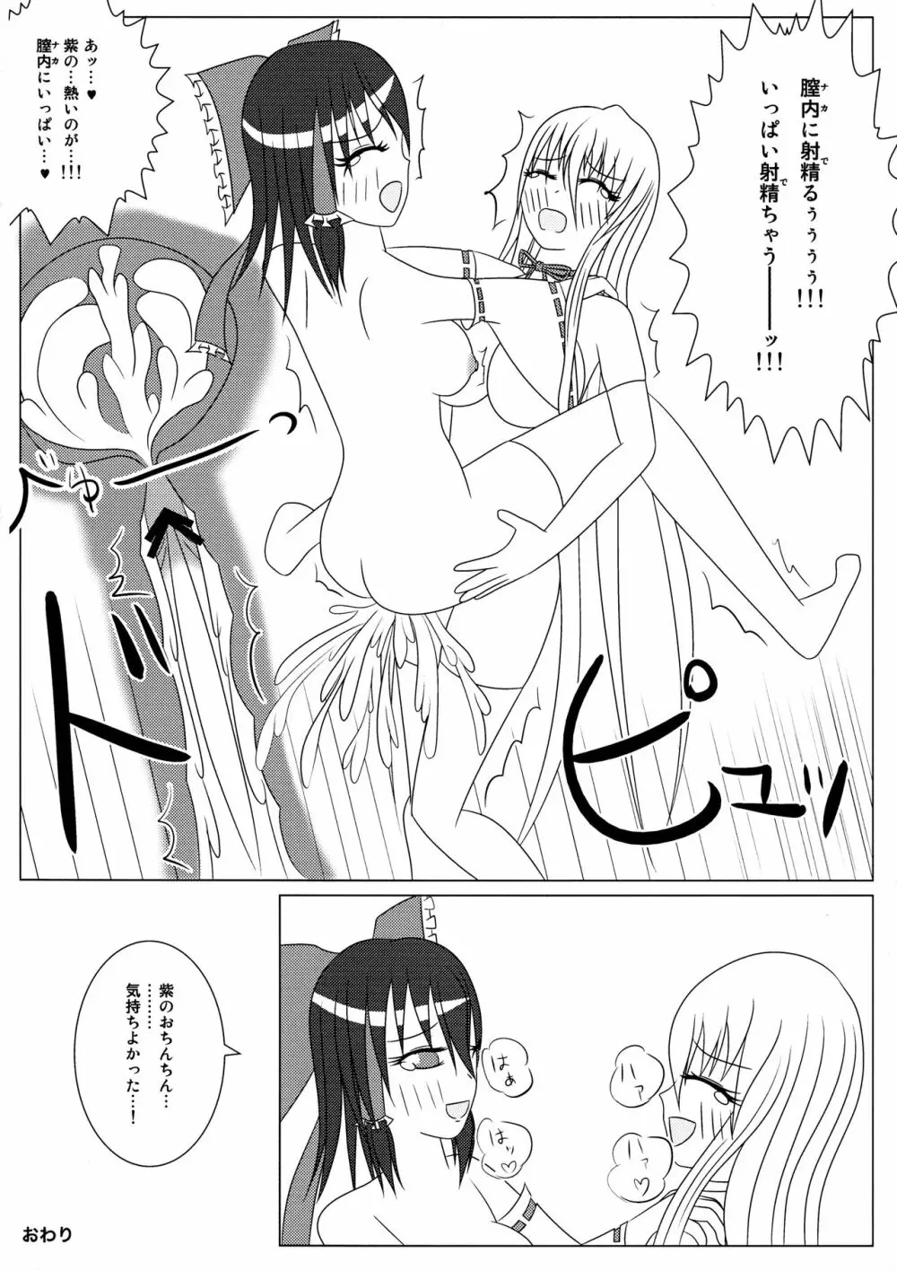 紫と霊夢のH日記 ～ゆかれいむふたなりえっち本～ - page14