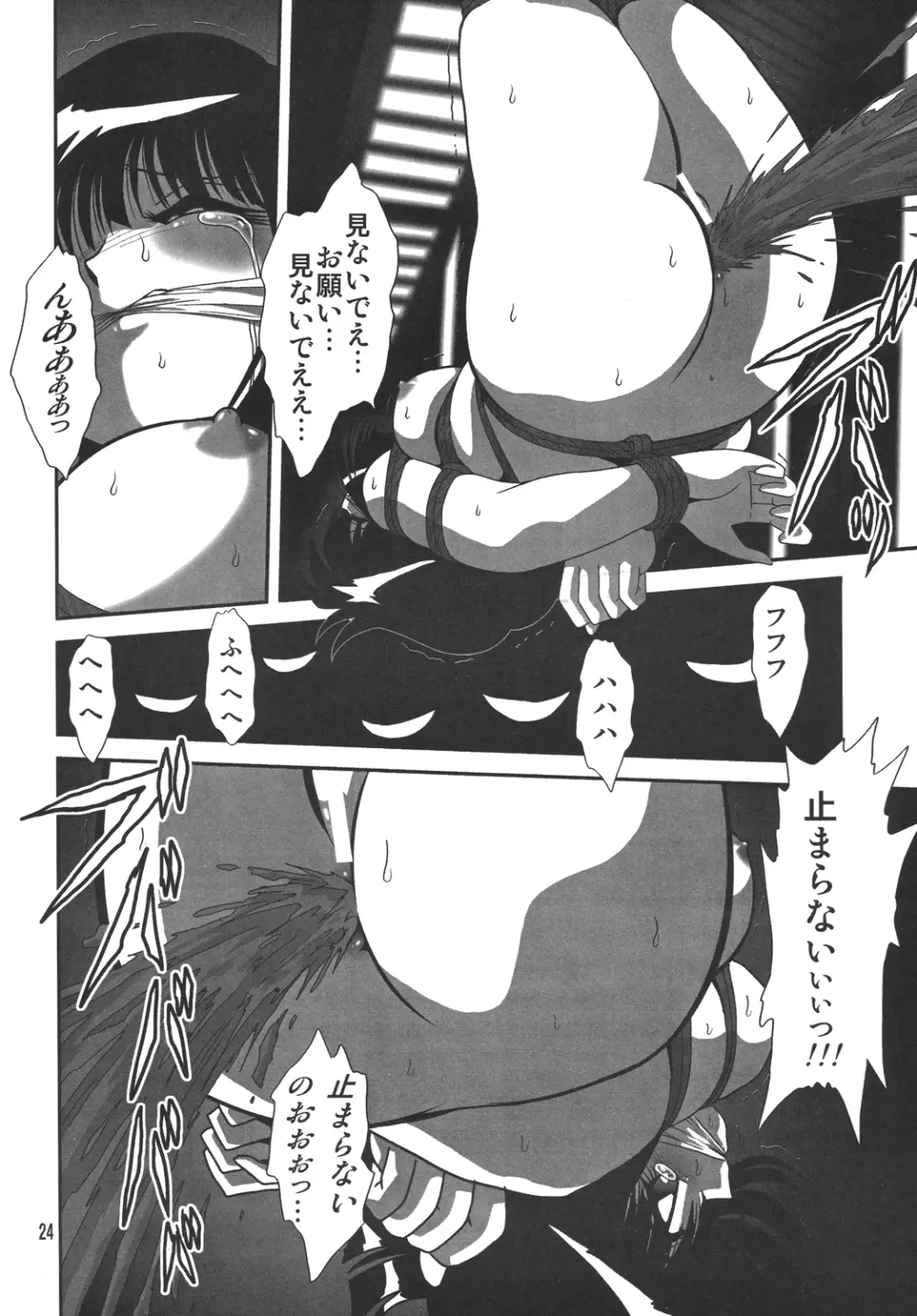 サイレント・サターンSS vol.10 - page23