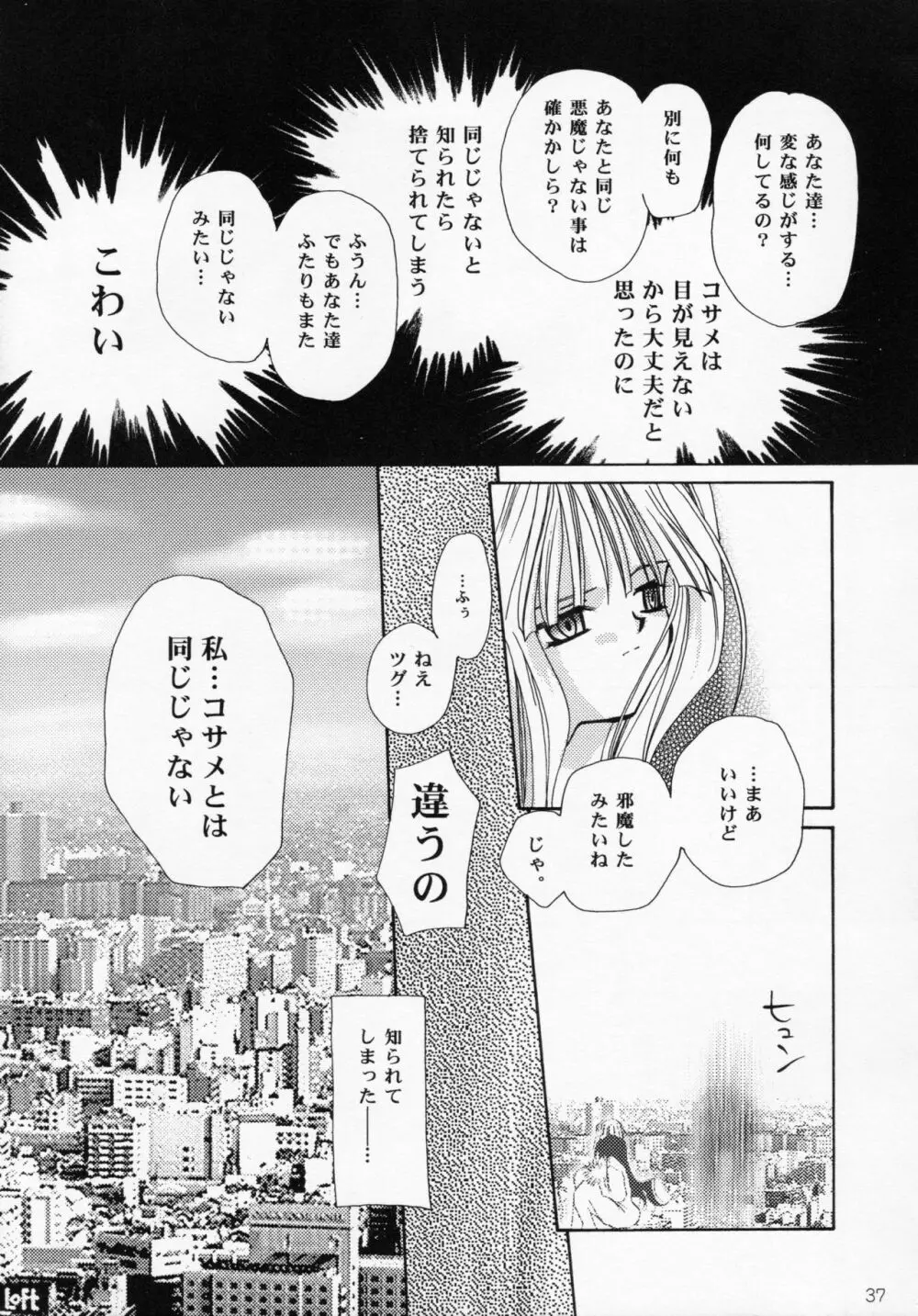 王女様とマスターシュ - page36