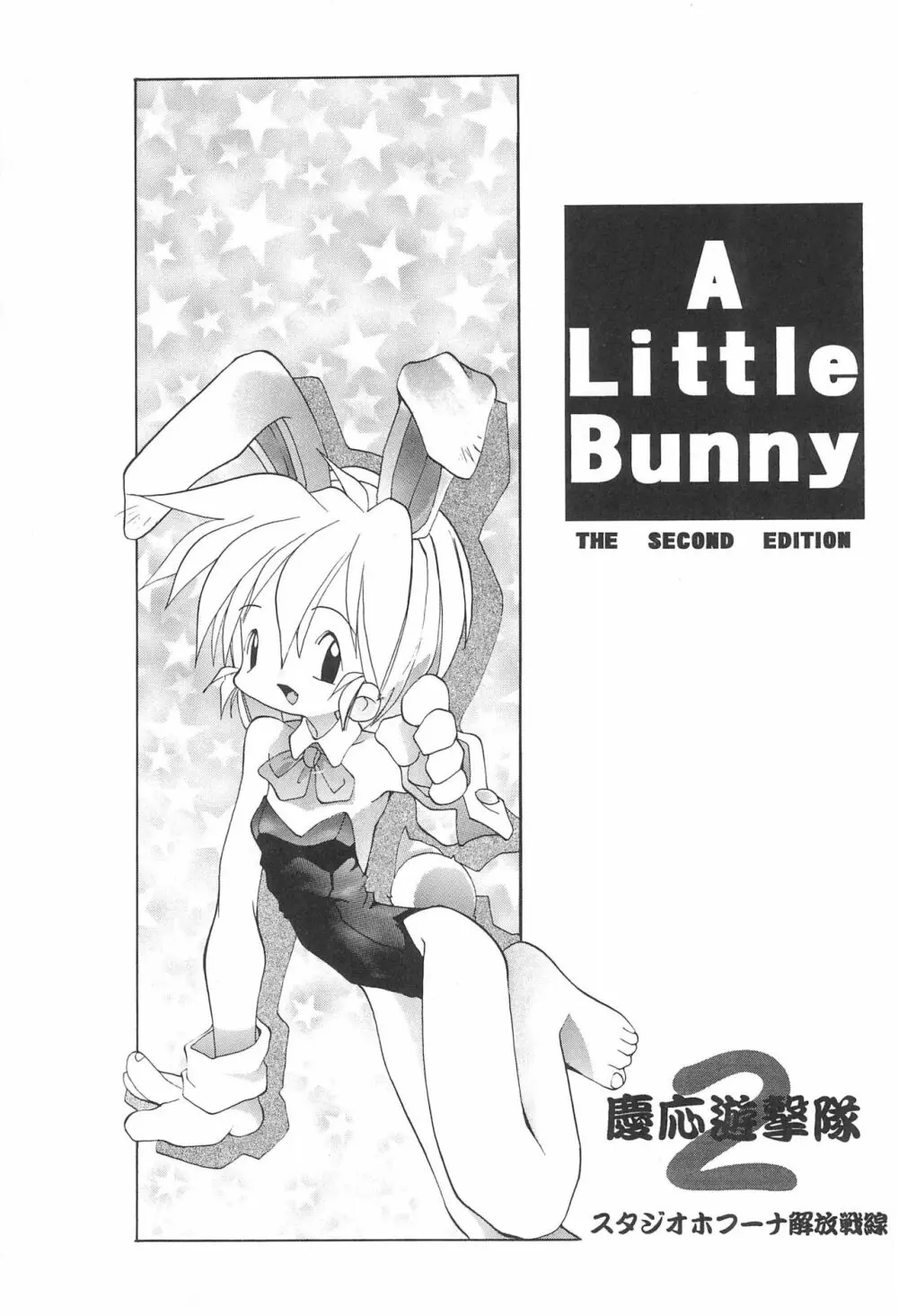 A Little Bunny - page3