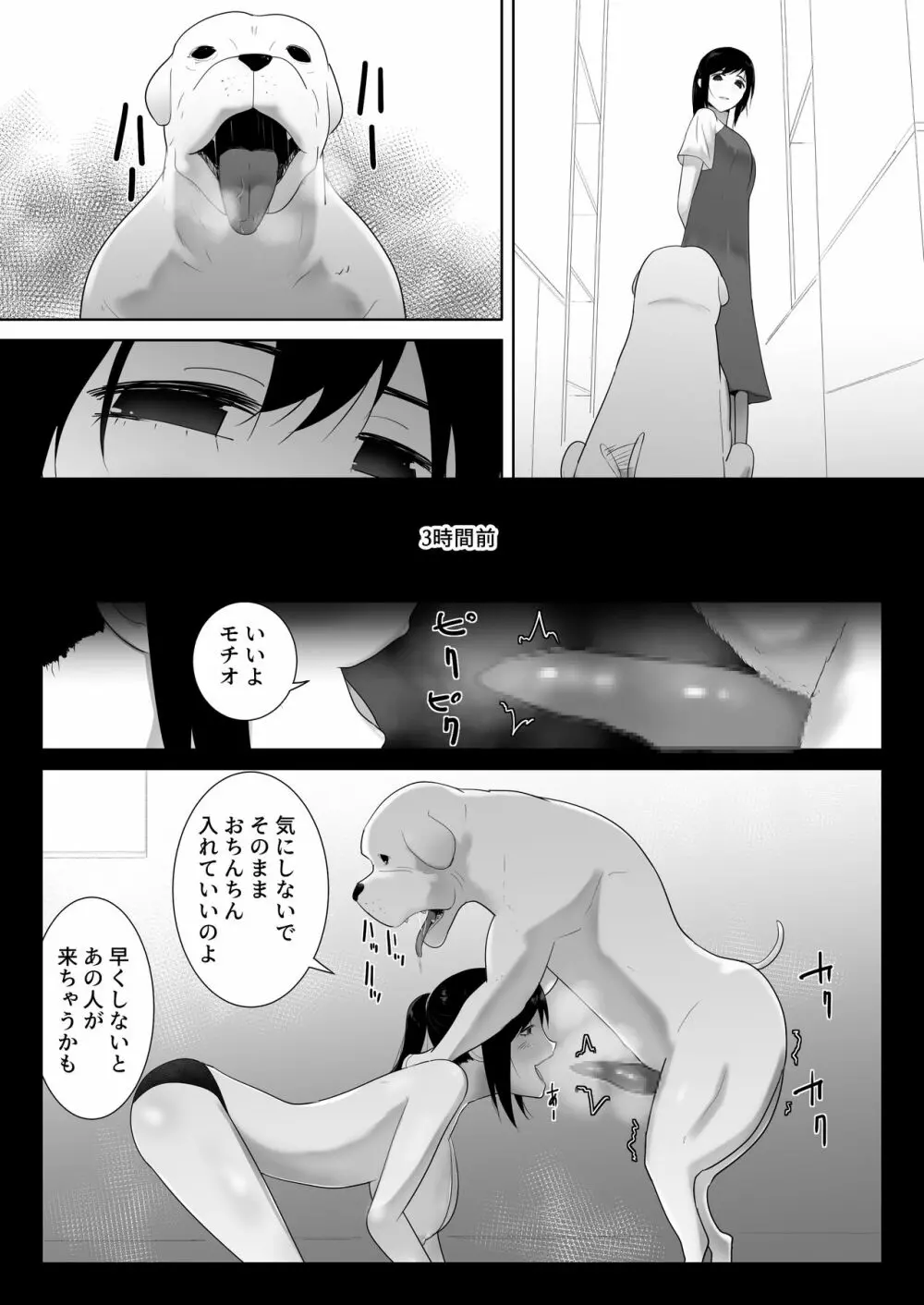 我が家にペットがやってきた 2 - page24