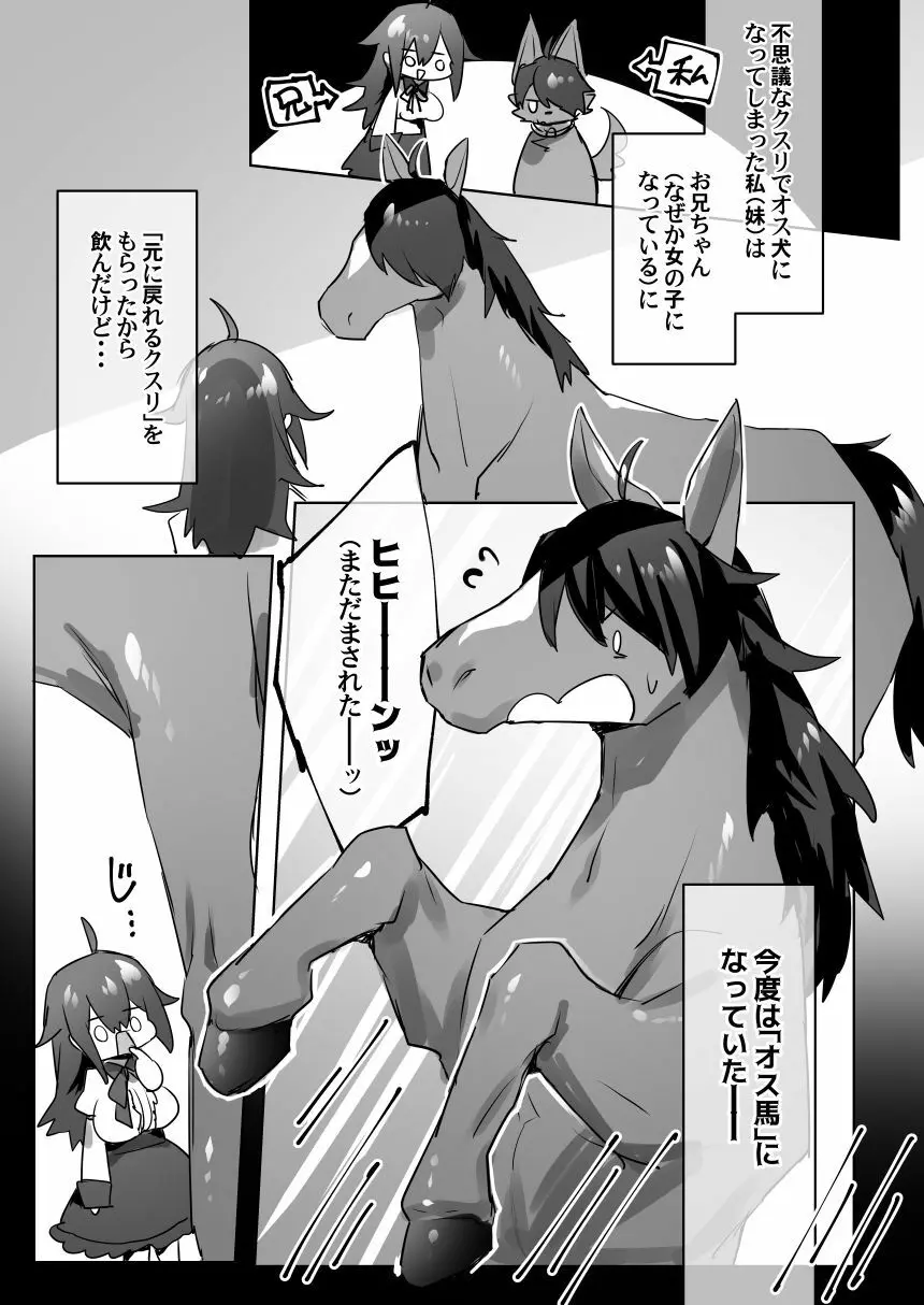 オス馬になった妹と女体化した兄がなんかする漫画 - page2