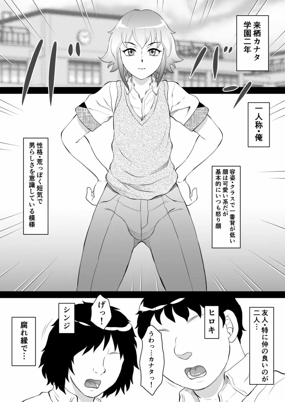 俺が男の娘になるわけがない! - page3