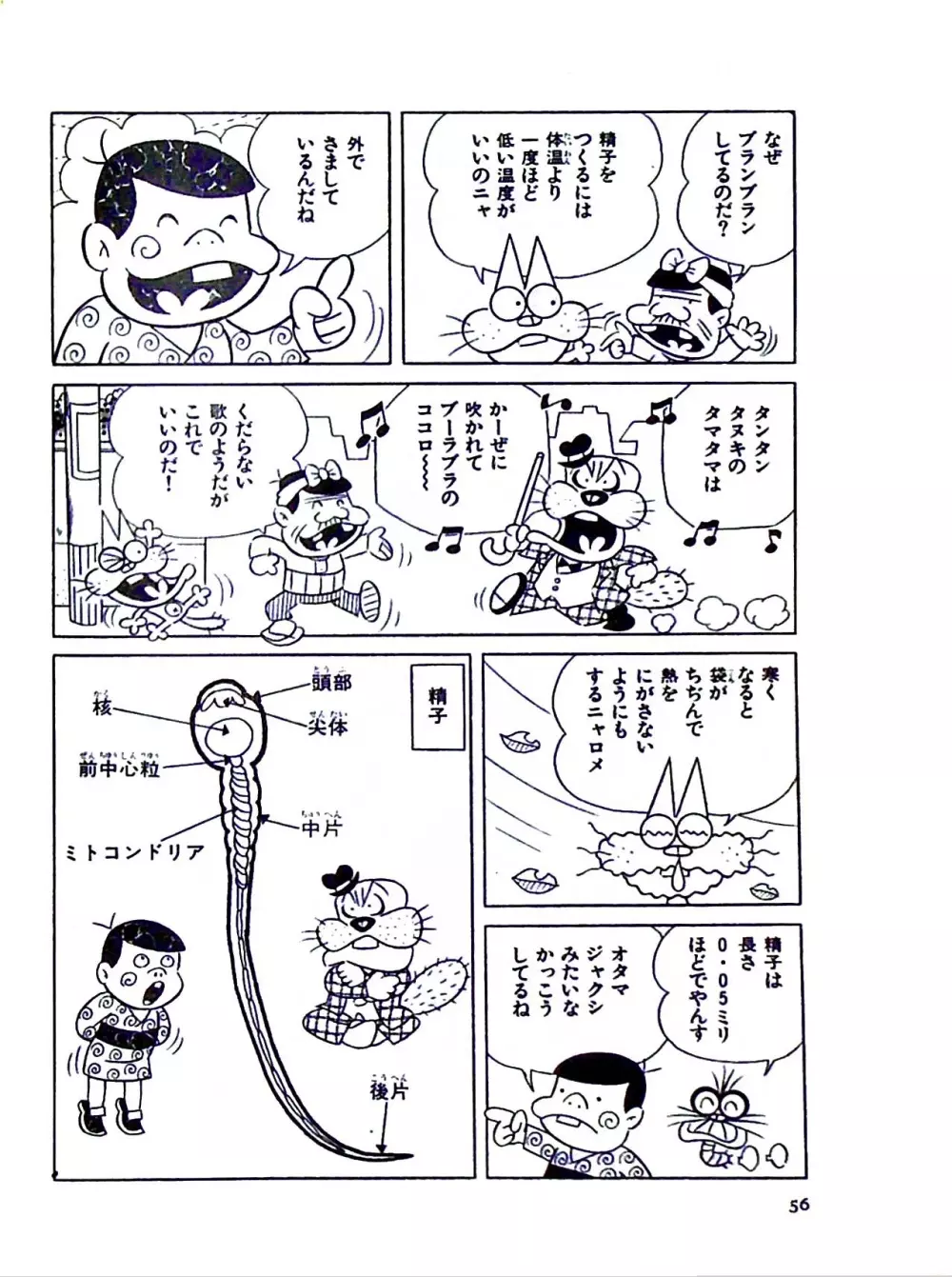 ニャロメのおもしろ性教室 - page62