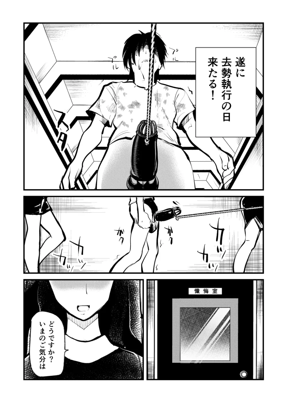 去勢入門 - page12