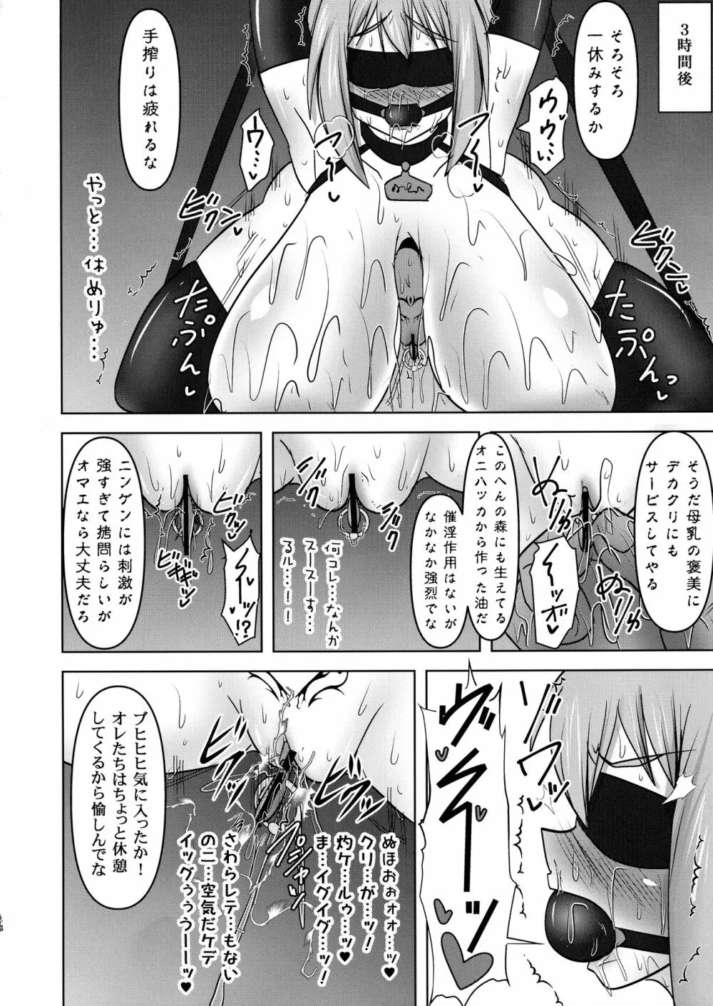 煌盾戦姫エルセイン VANQUISHED SHIELD 3 - page14