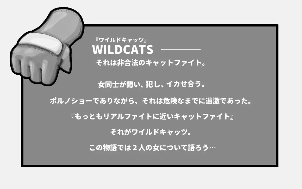 WILDCATS ～ふたなり地下バトル - page4