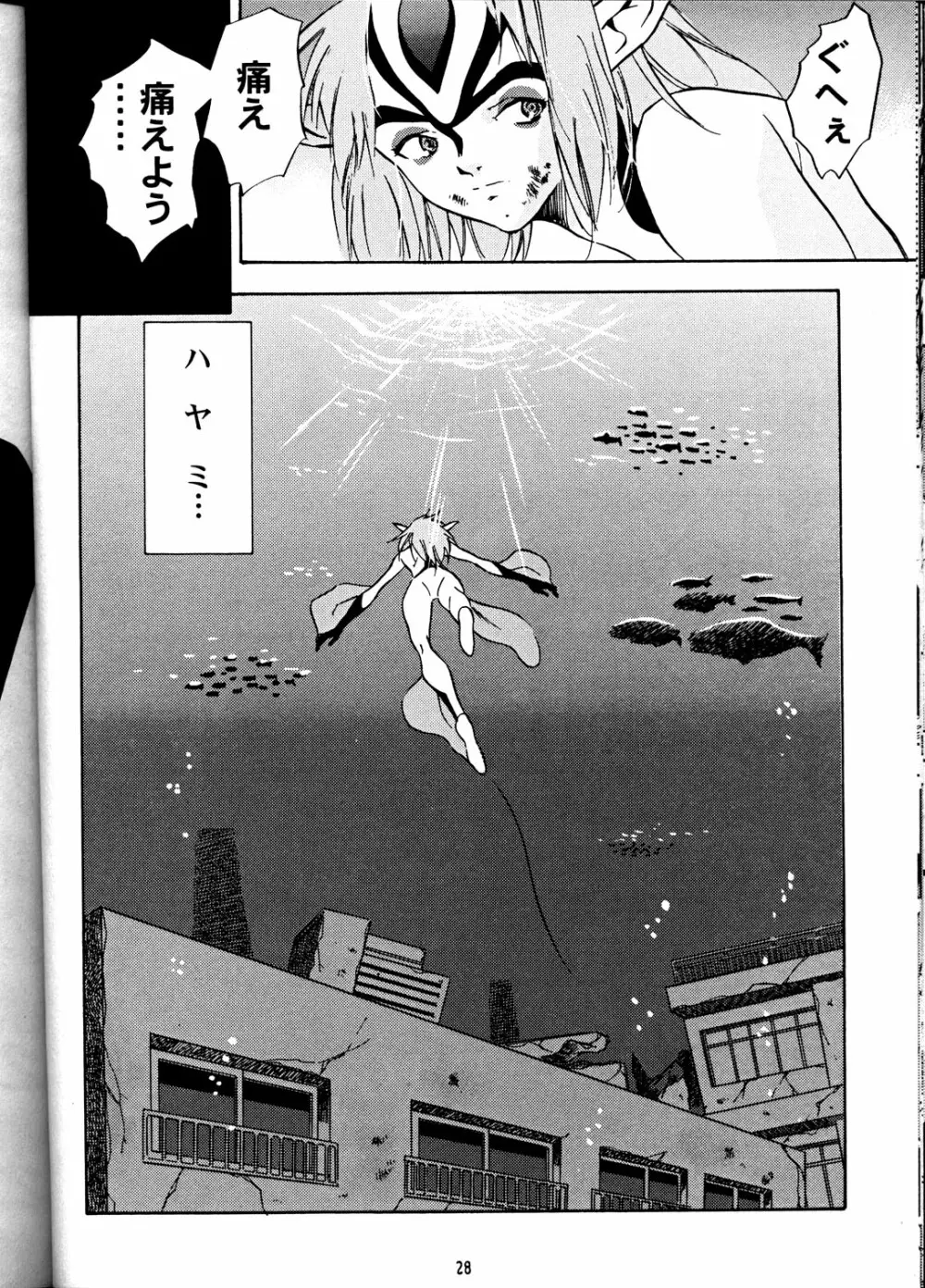 アニマー2001 - page27